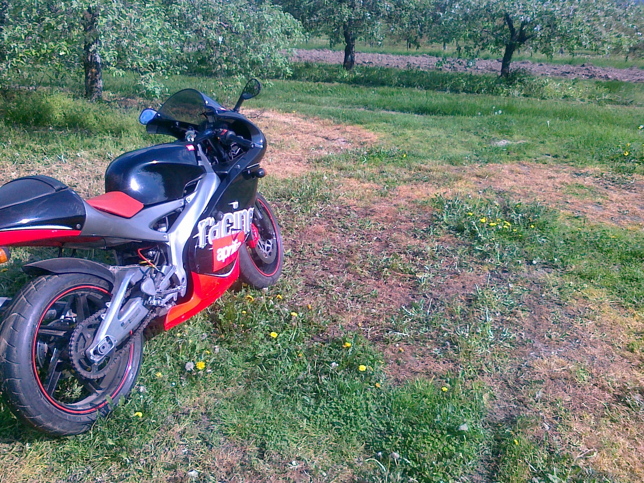 Photo 2642953