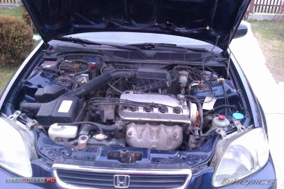 CiViC