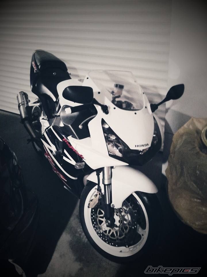Photo 2643160