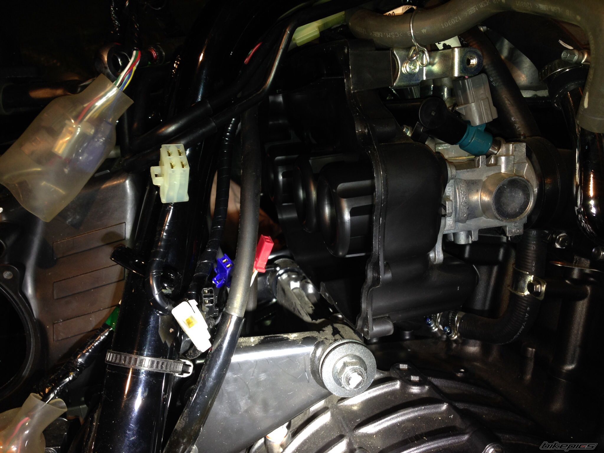 Photo 2643235