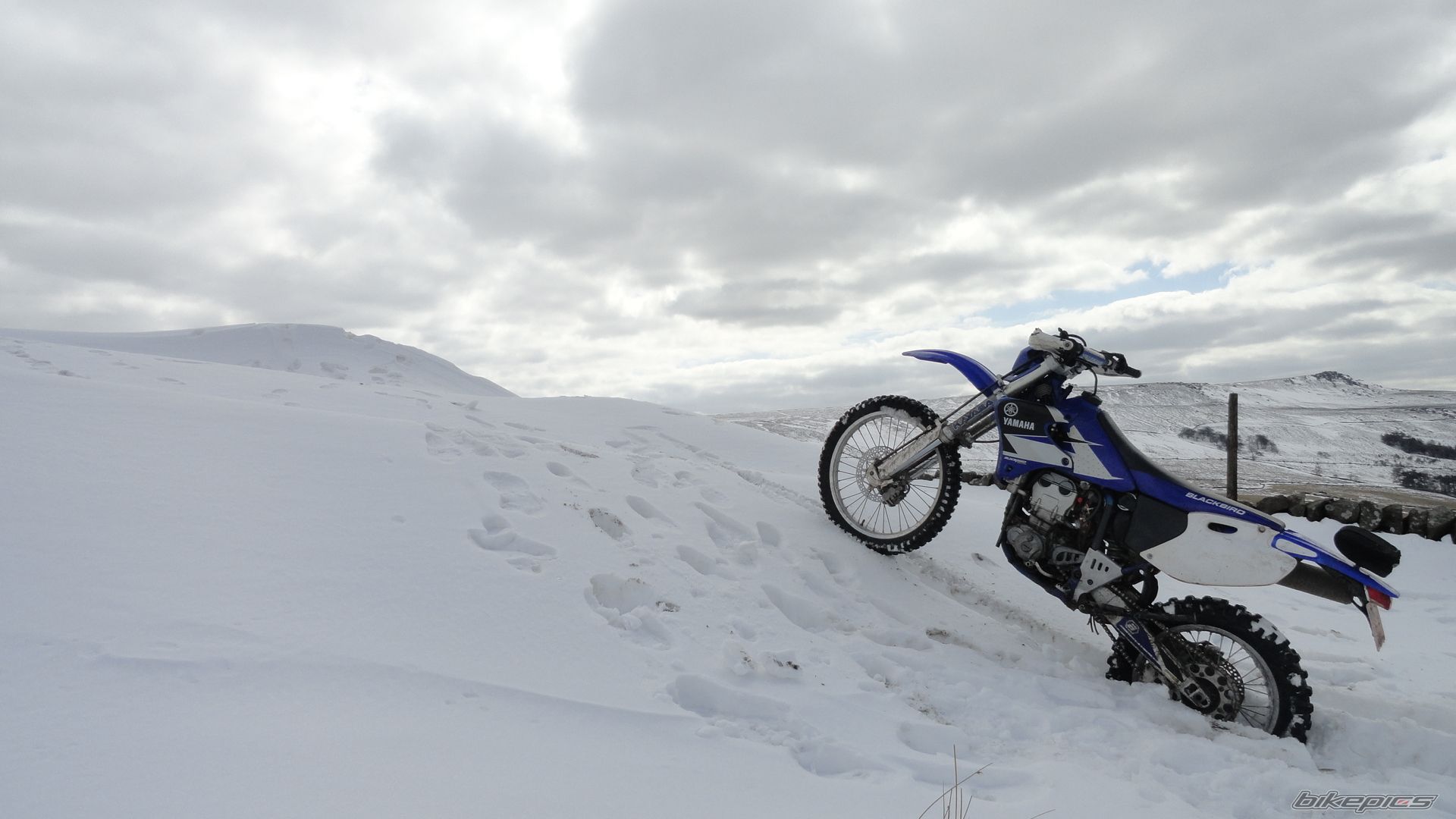 Photo 2643250
