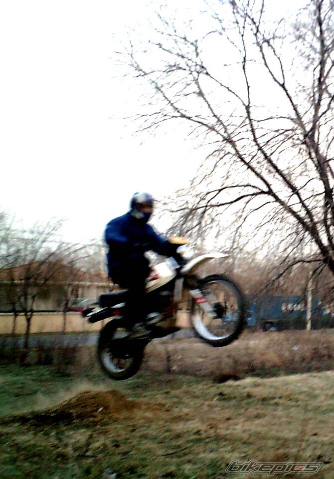 Photo 264326