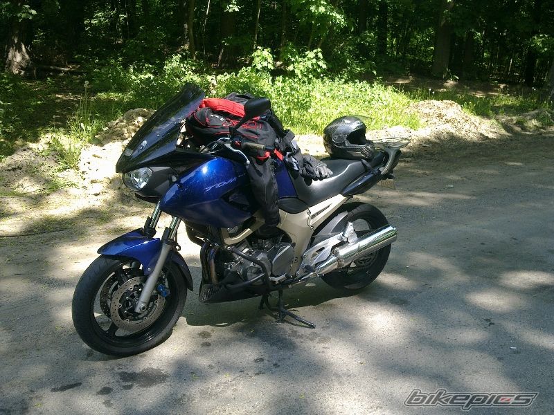 Photo 2643327