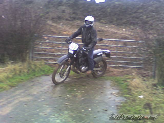 Bike Photo 264341