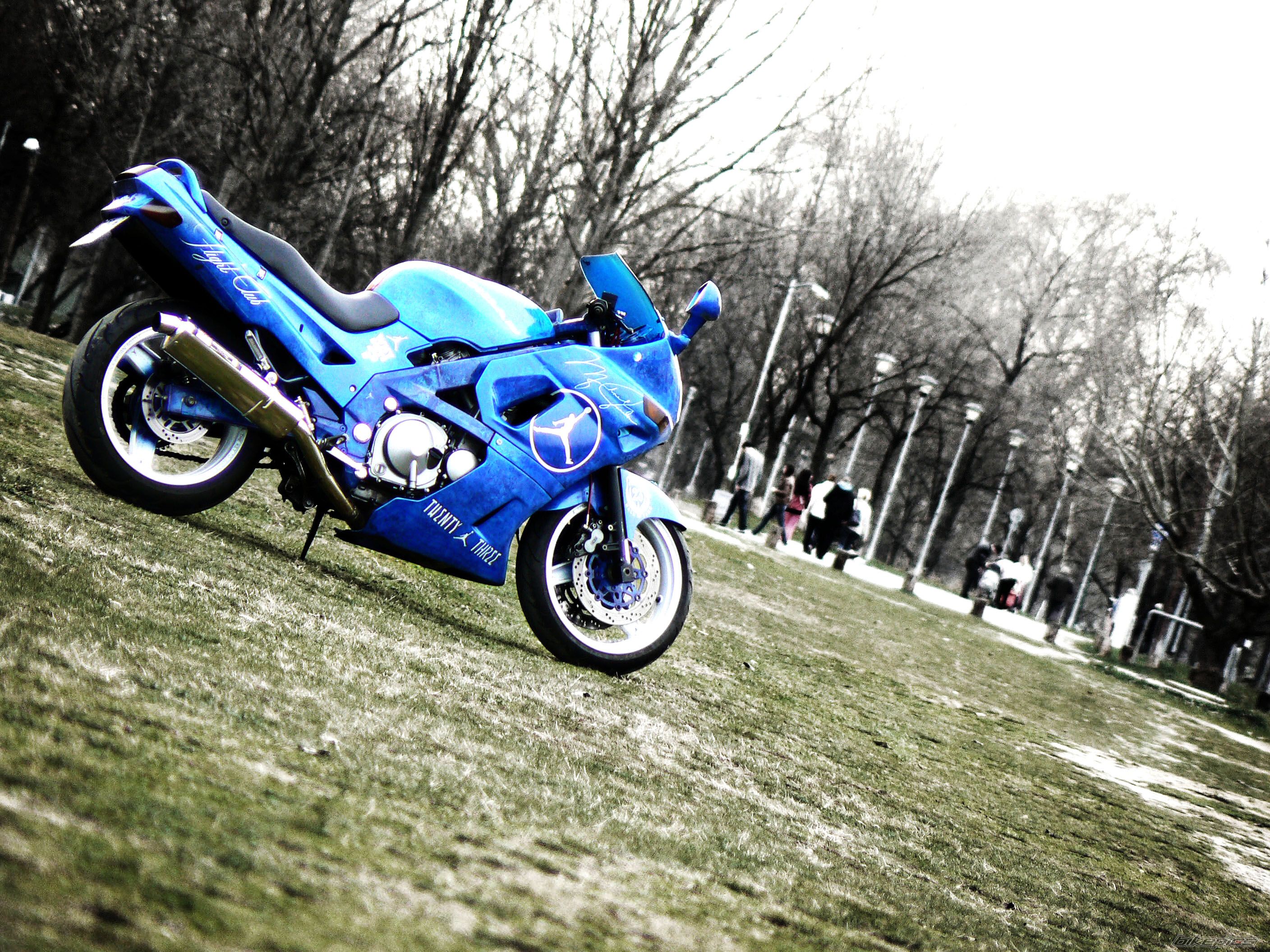 Photo 2643445