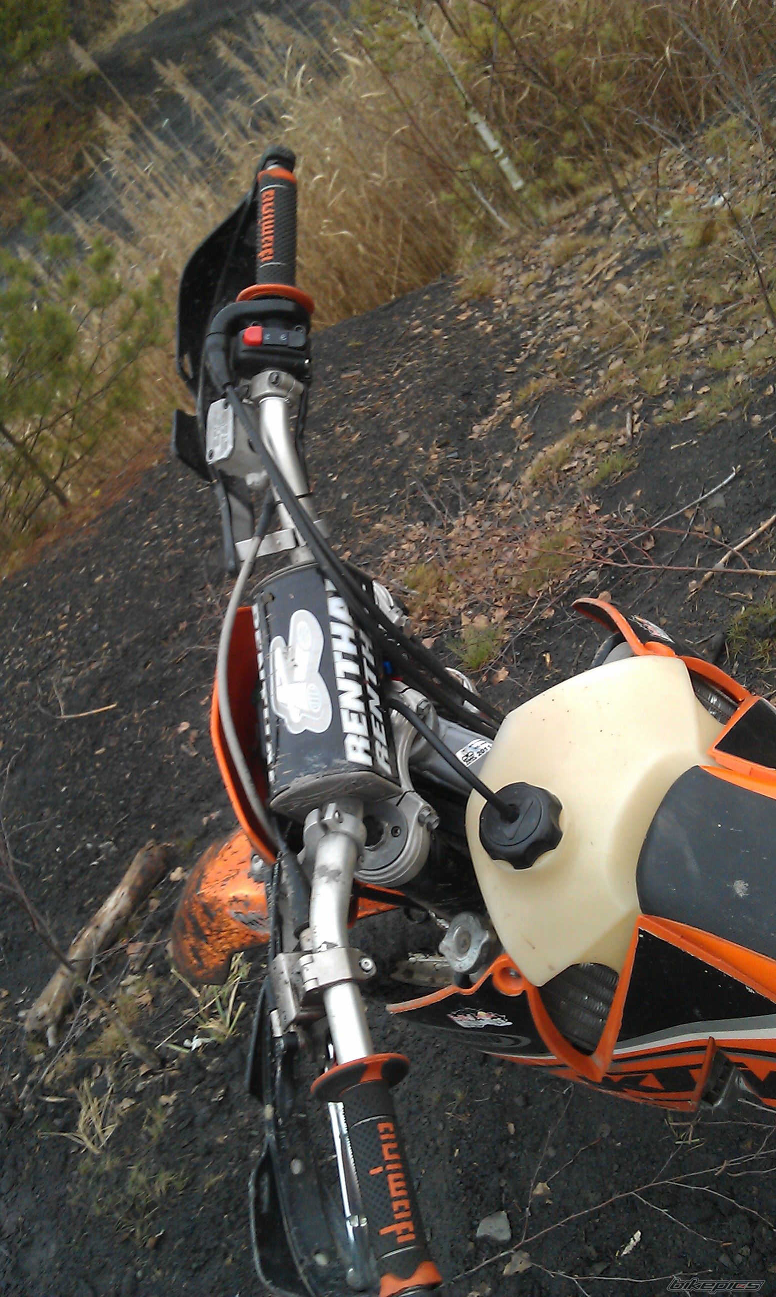 Photo 2643482