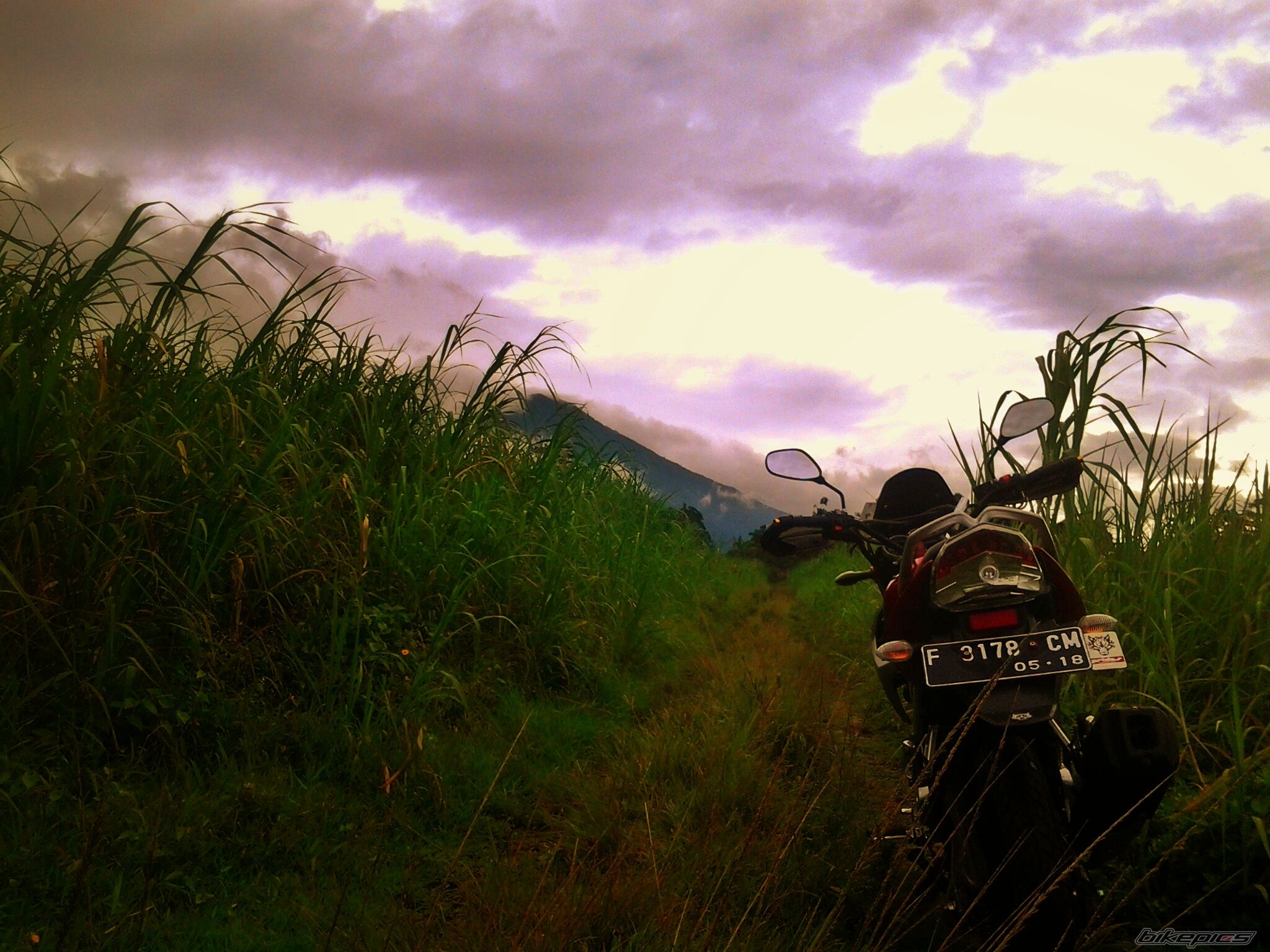 Photo 2643572
