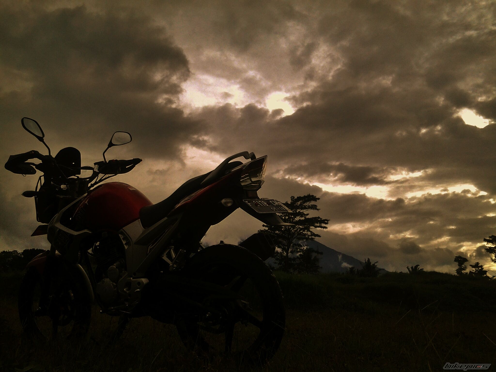 Photo 2643573