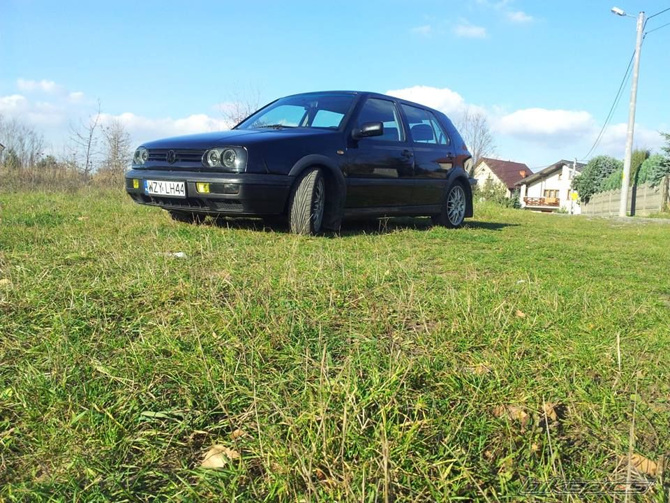 Photo 2643706