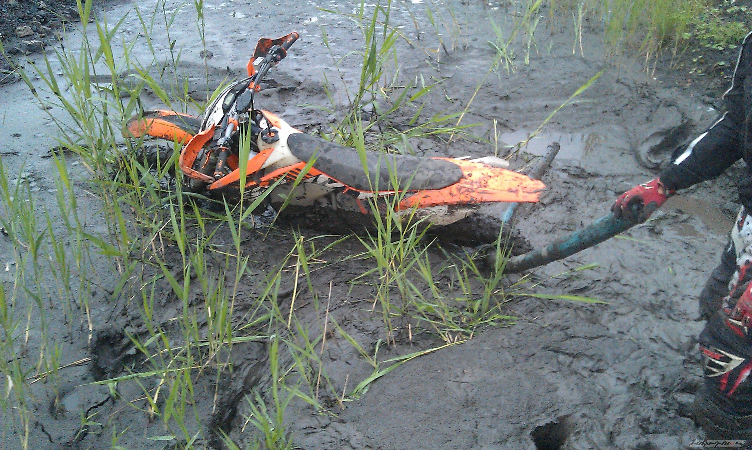 Photo 2643817