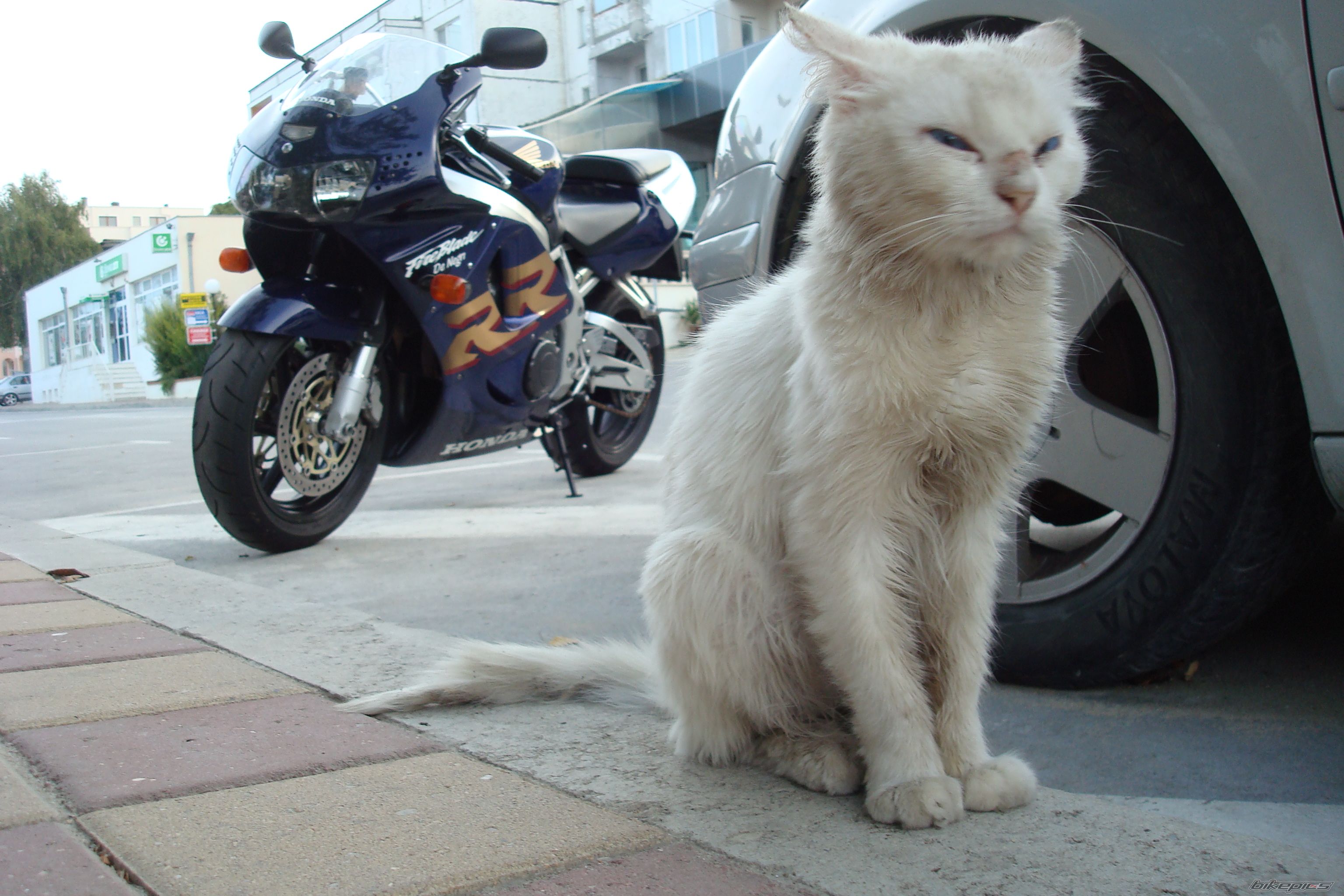 Photo 2643897