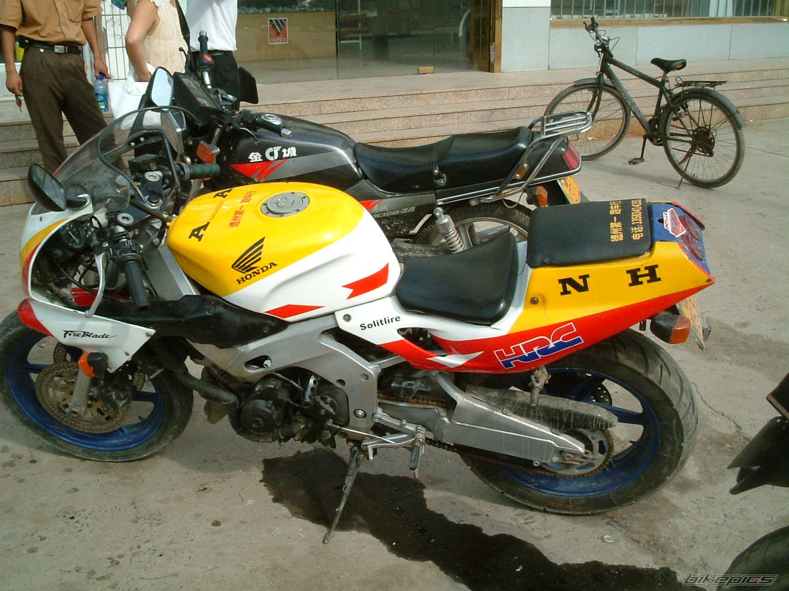 Photo 264391