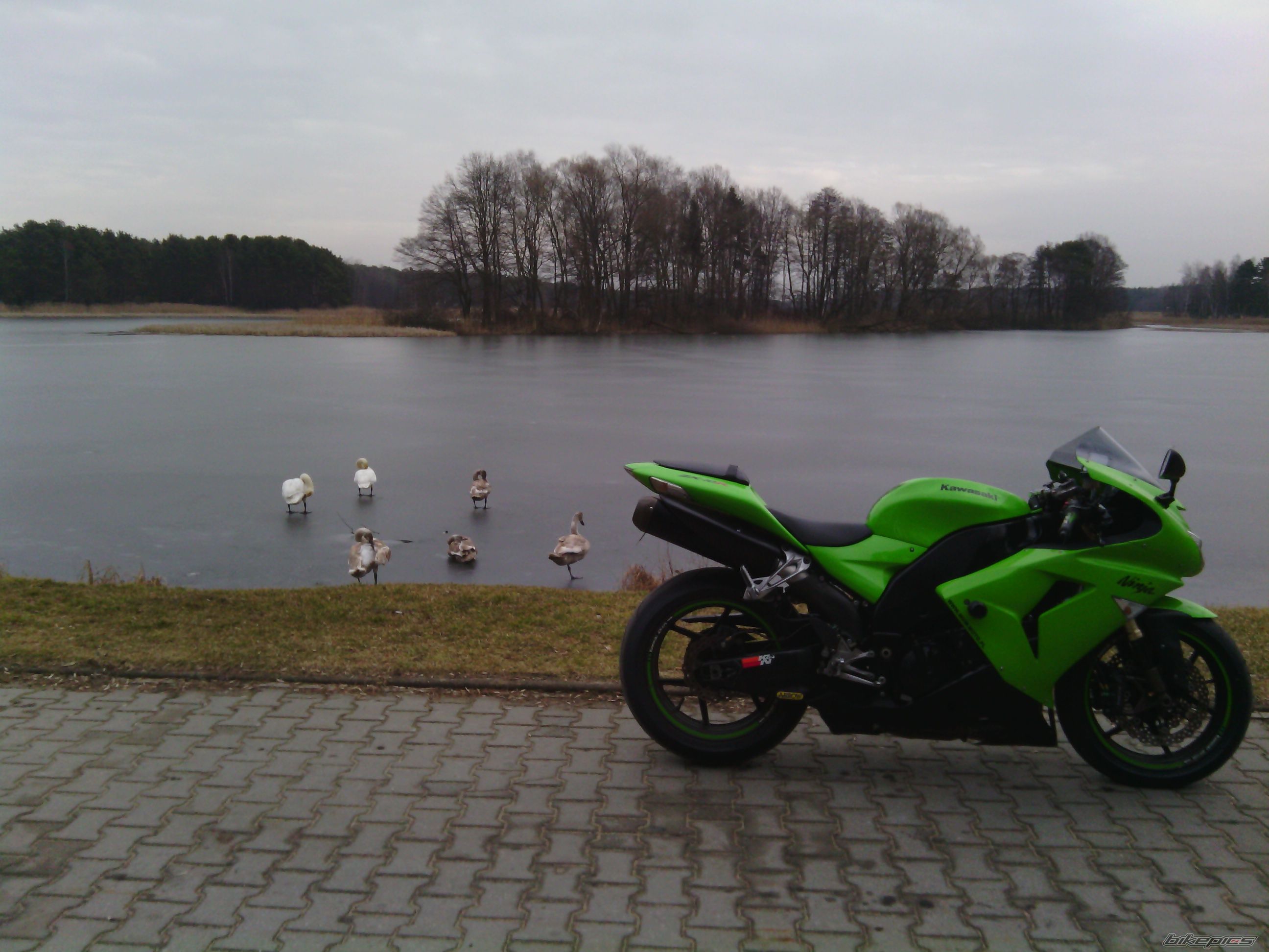 Photo 2643952