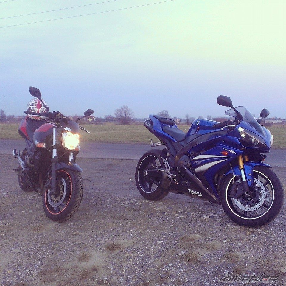 Photo 2643987