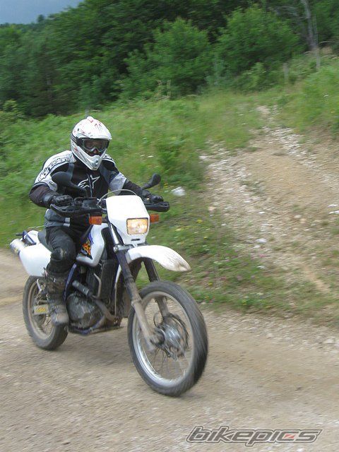 Photo 2644040