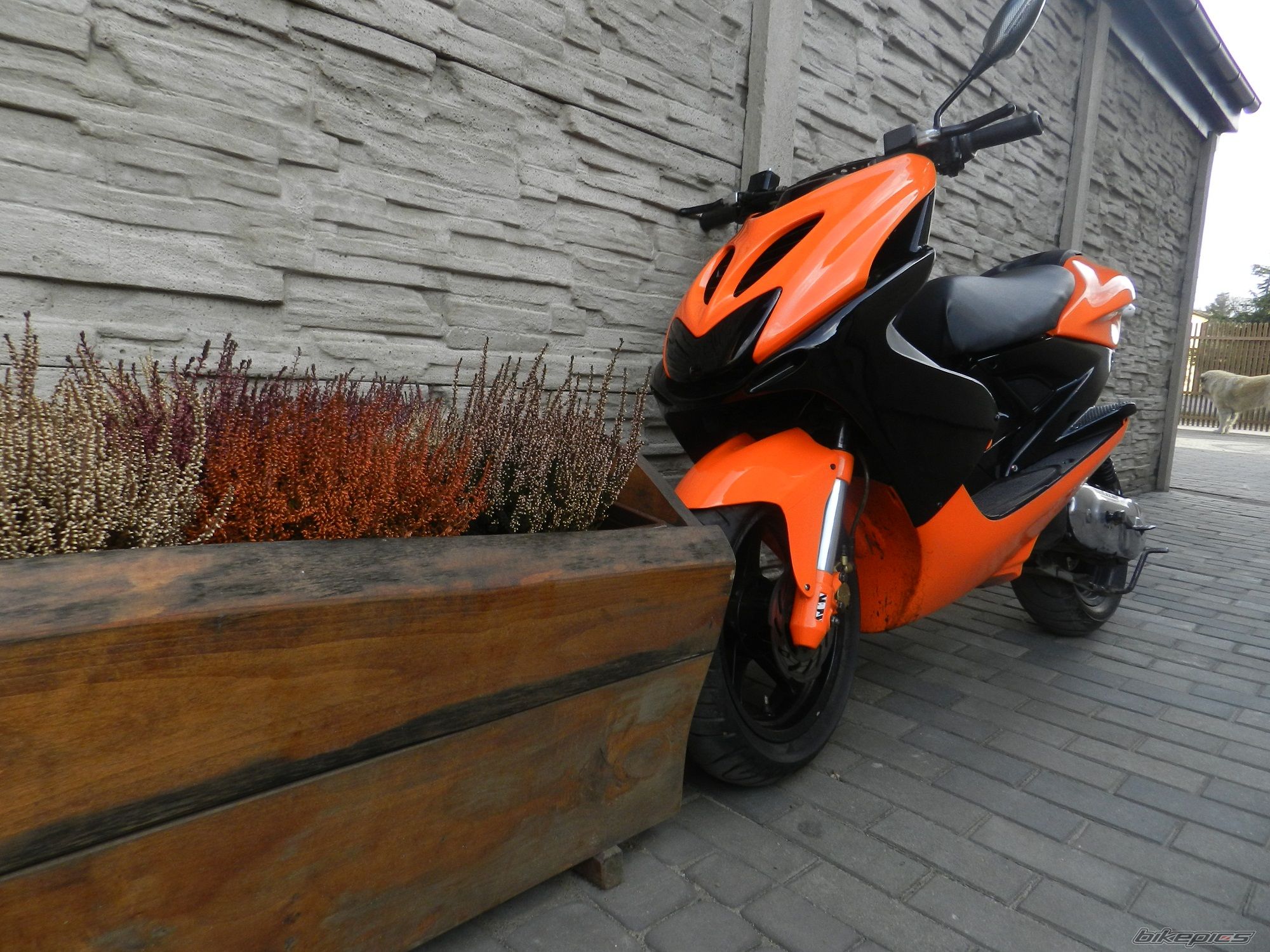 Bike Photo 2644064