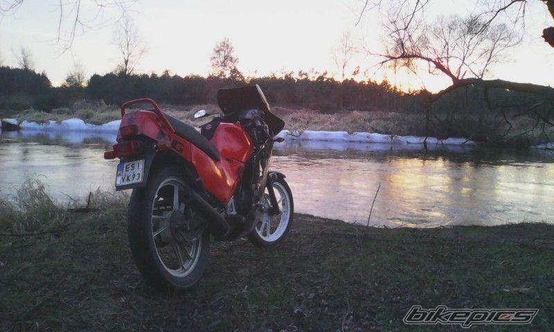 Photo 2644216