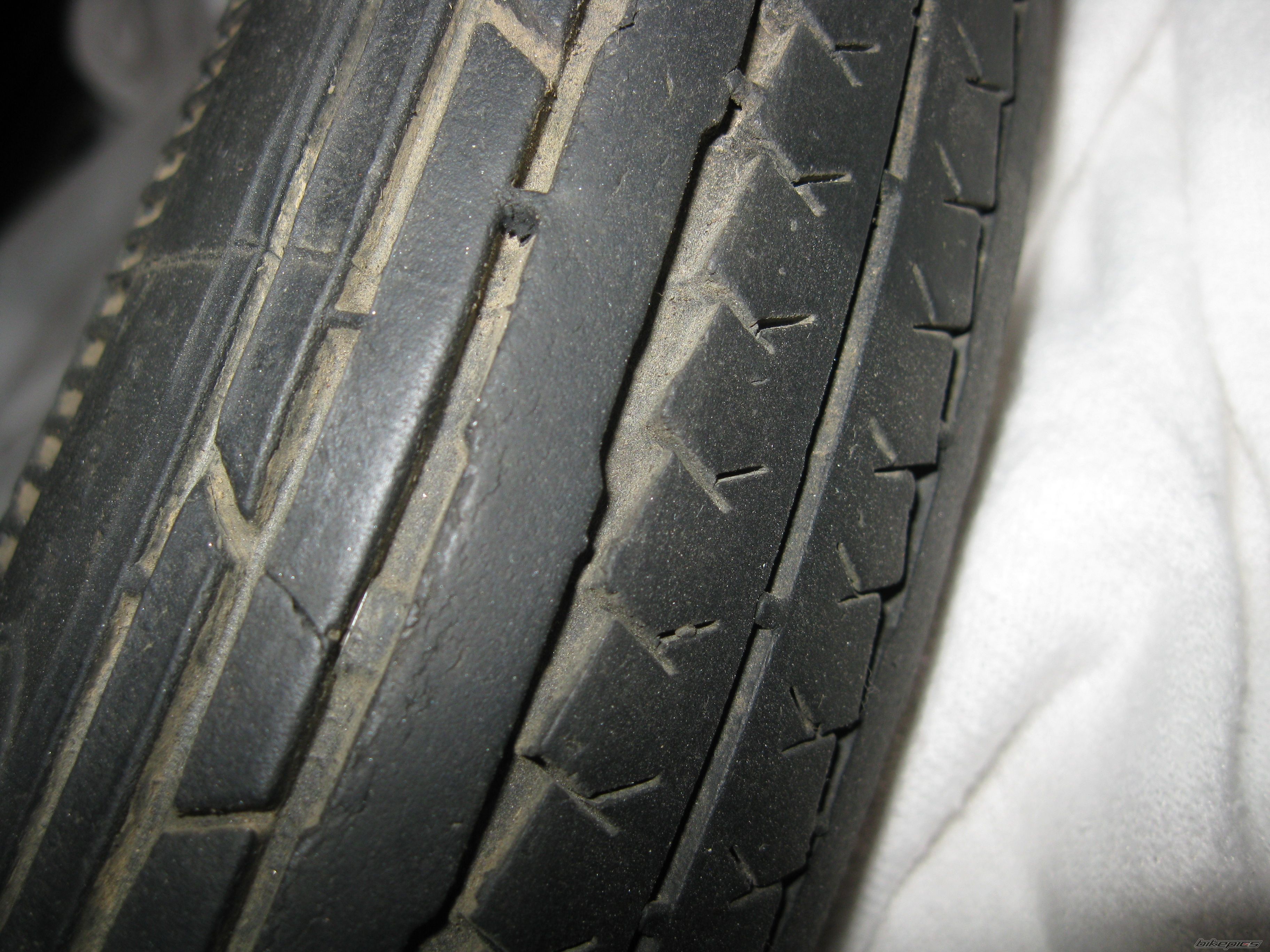 Photo 2644431