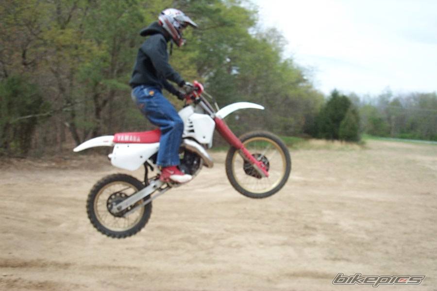 Photo 264451