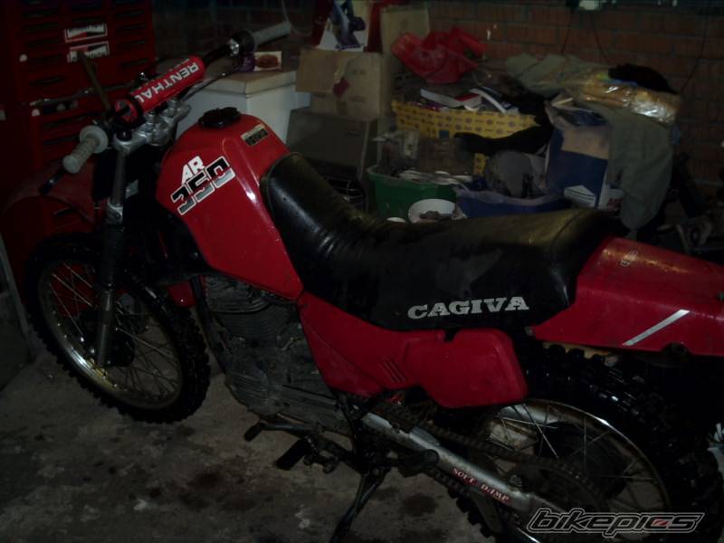 Photo 264455