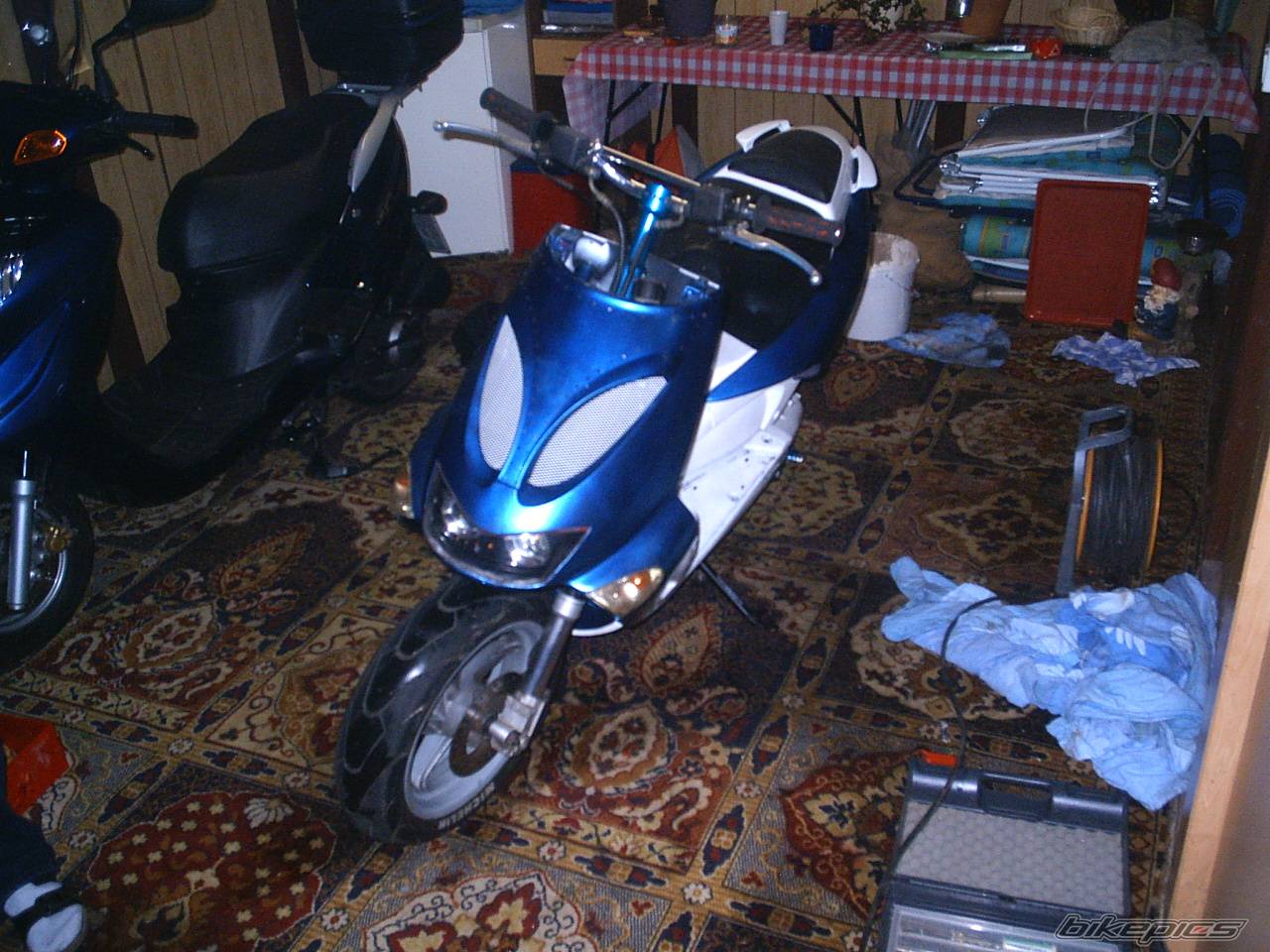 Photo 264466