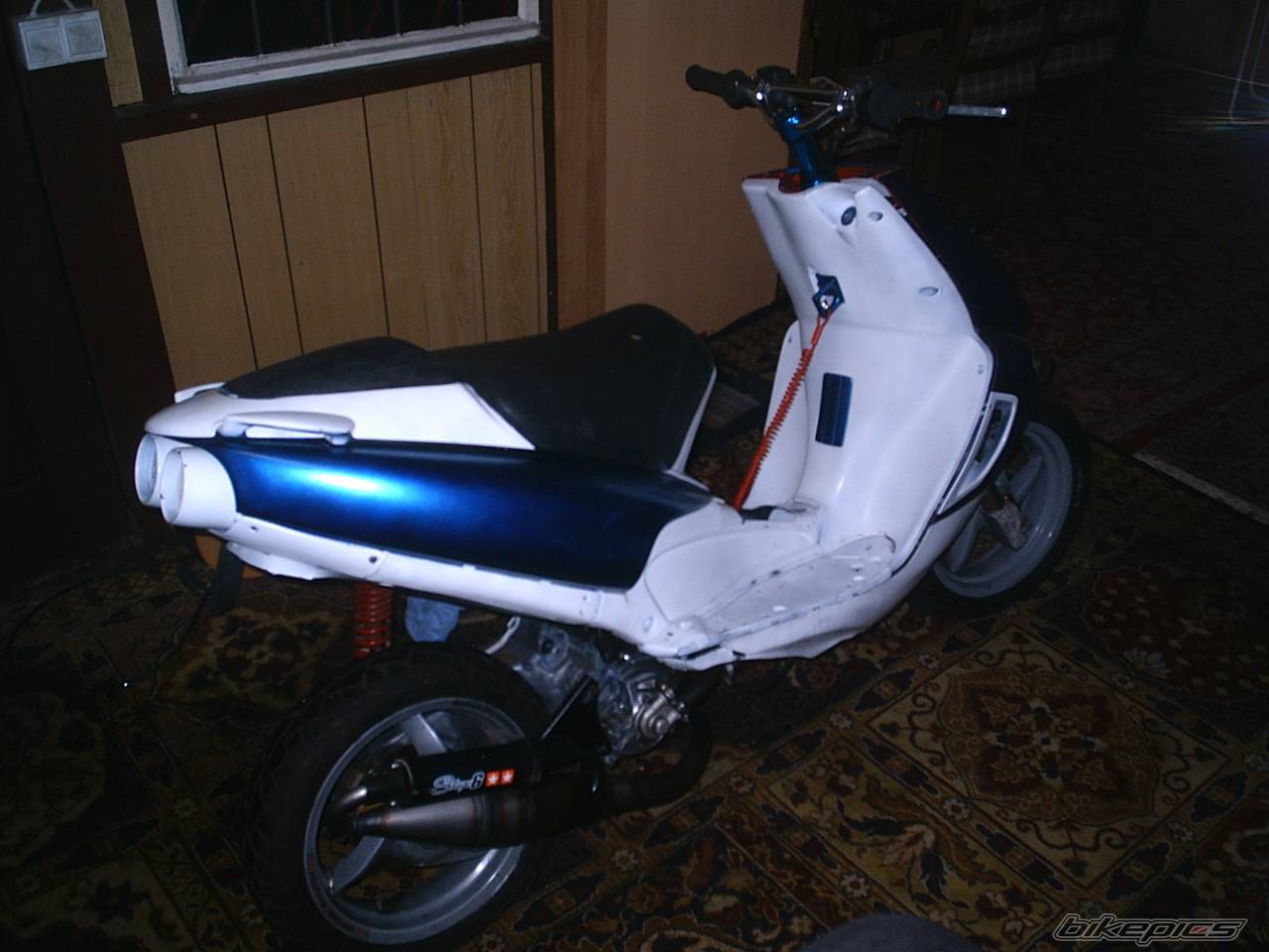 Photo 264469