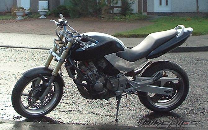 Photo 264473