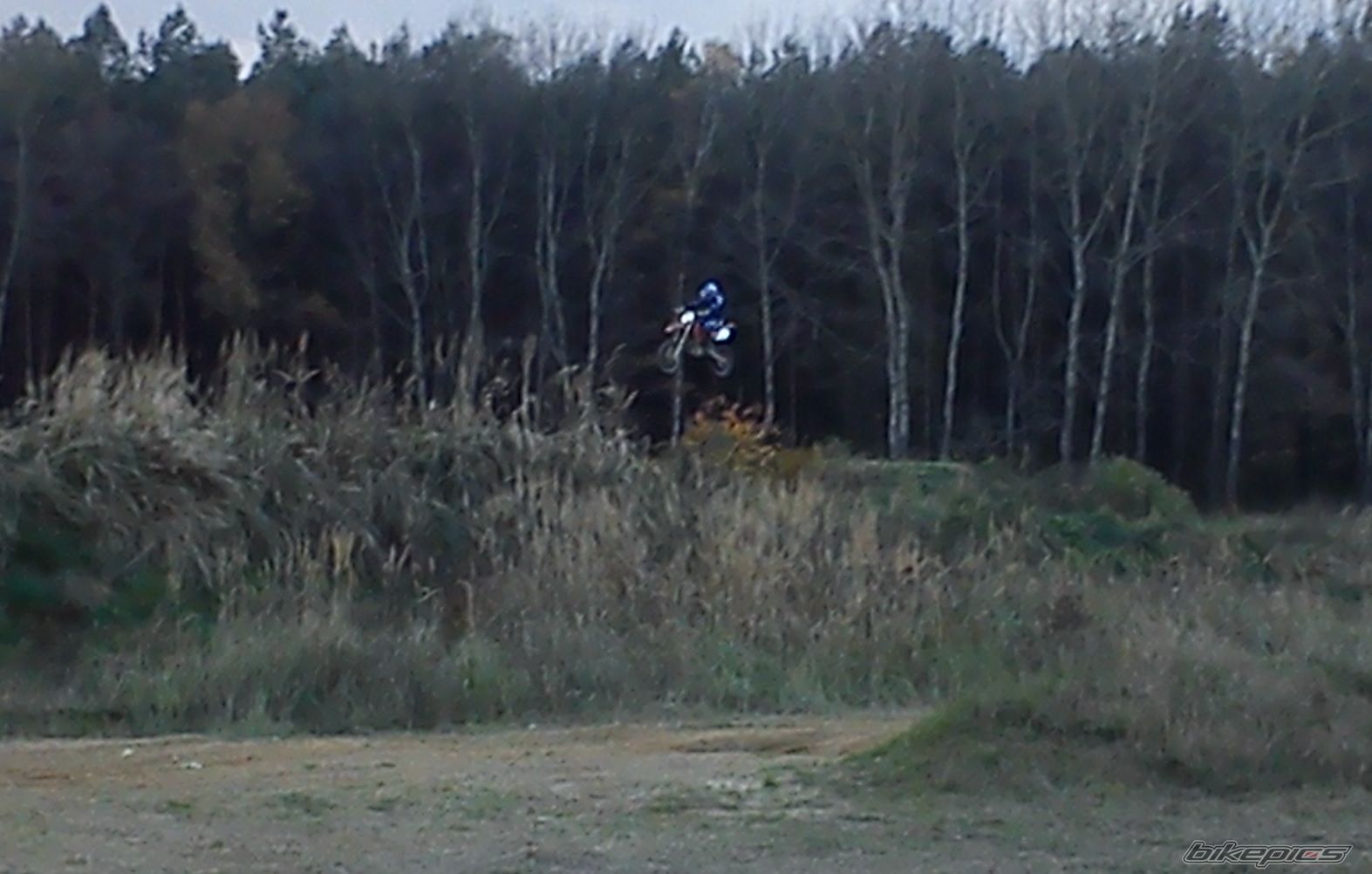 Photo 2645003