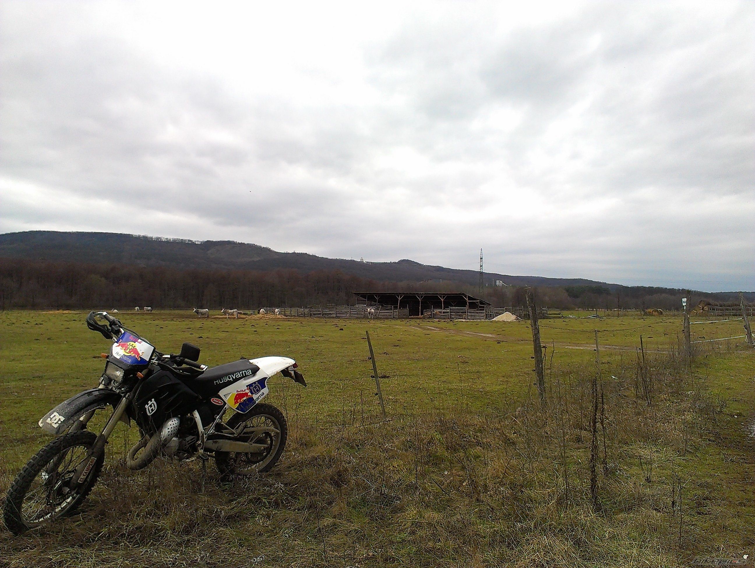 Photo 2645007