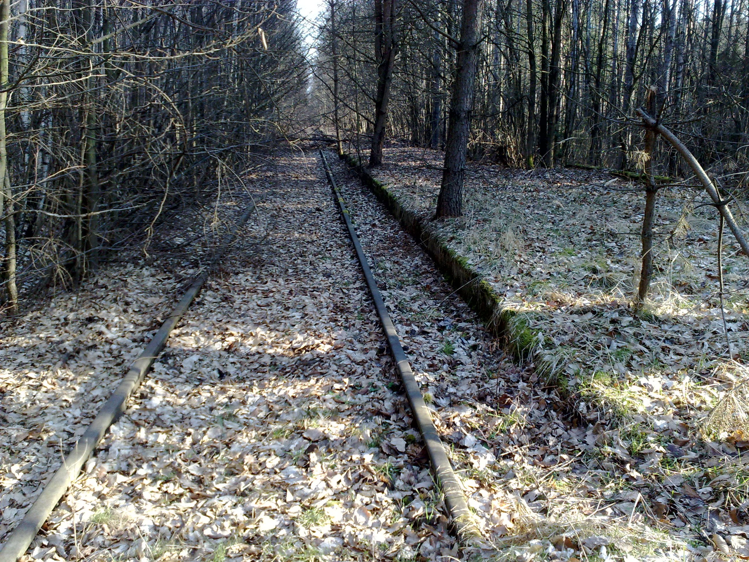 Photo 2645032