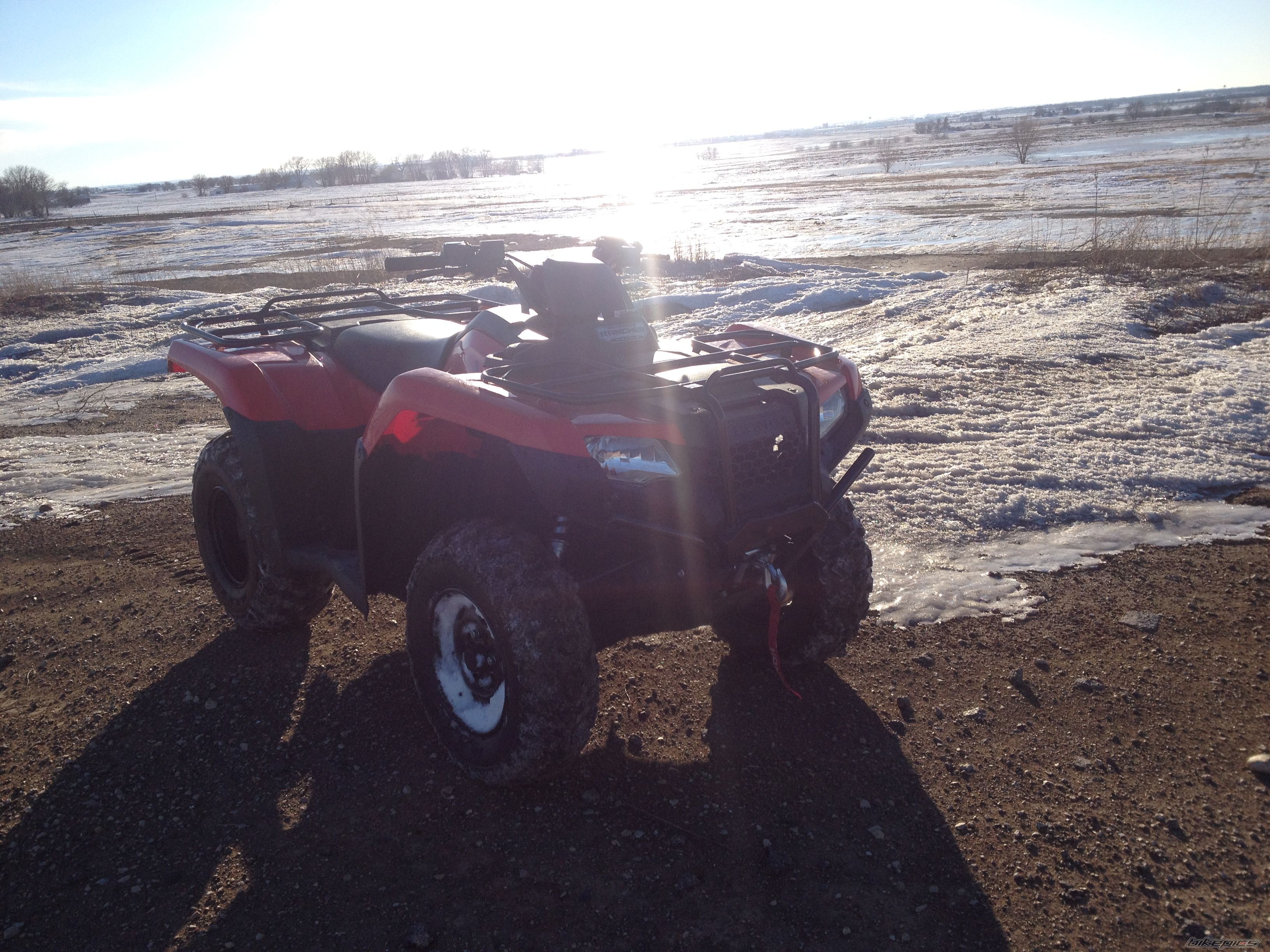 Photo 2645039