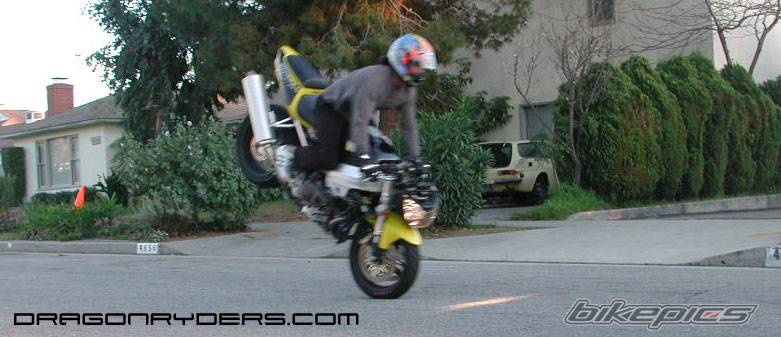 Bike Photo 26451