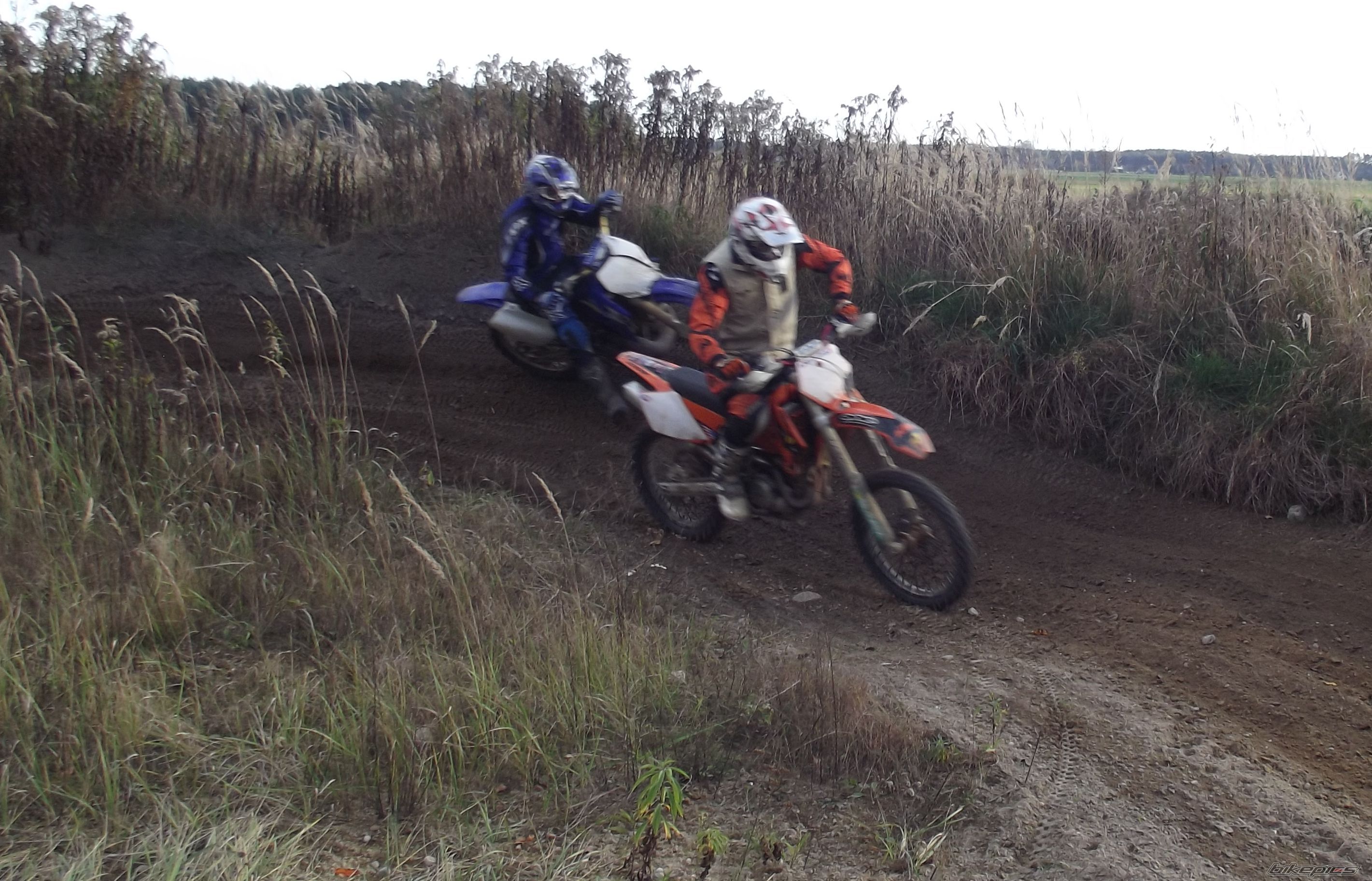 Photo 2645143