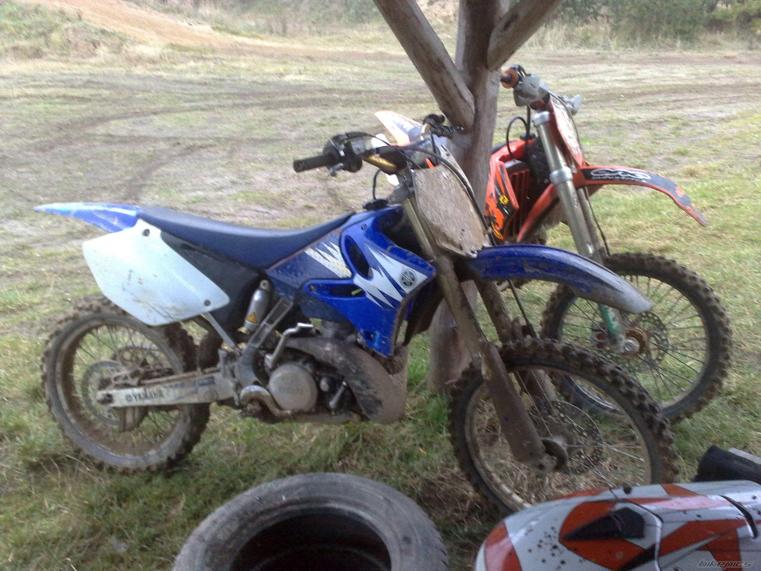 Photo 2645149