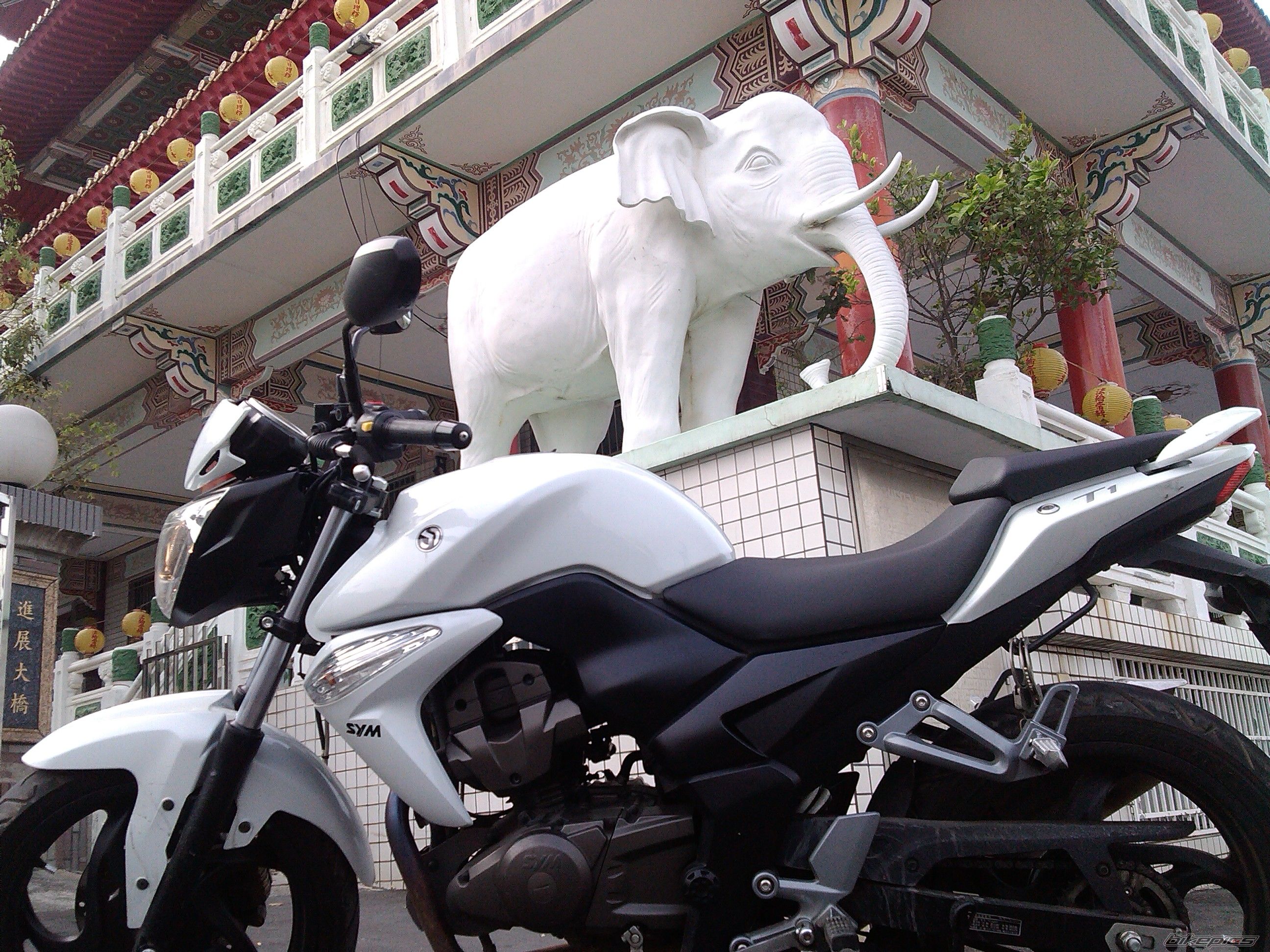 Bike Photo 2645184