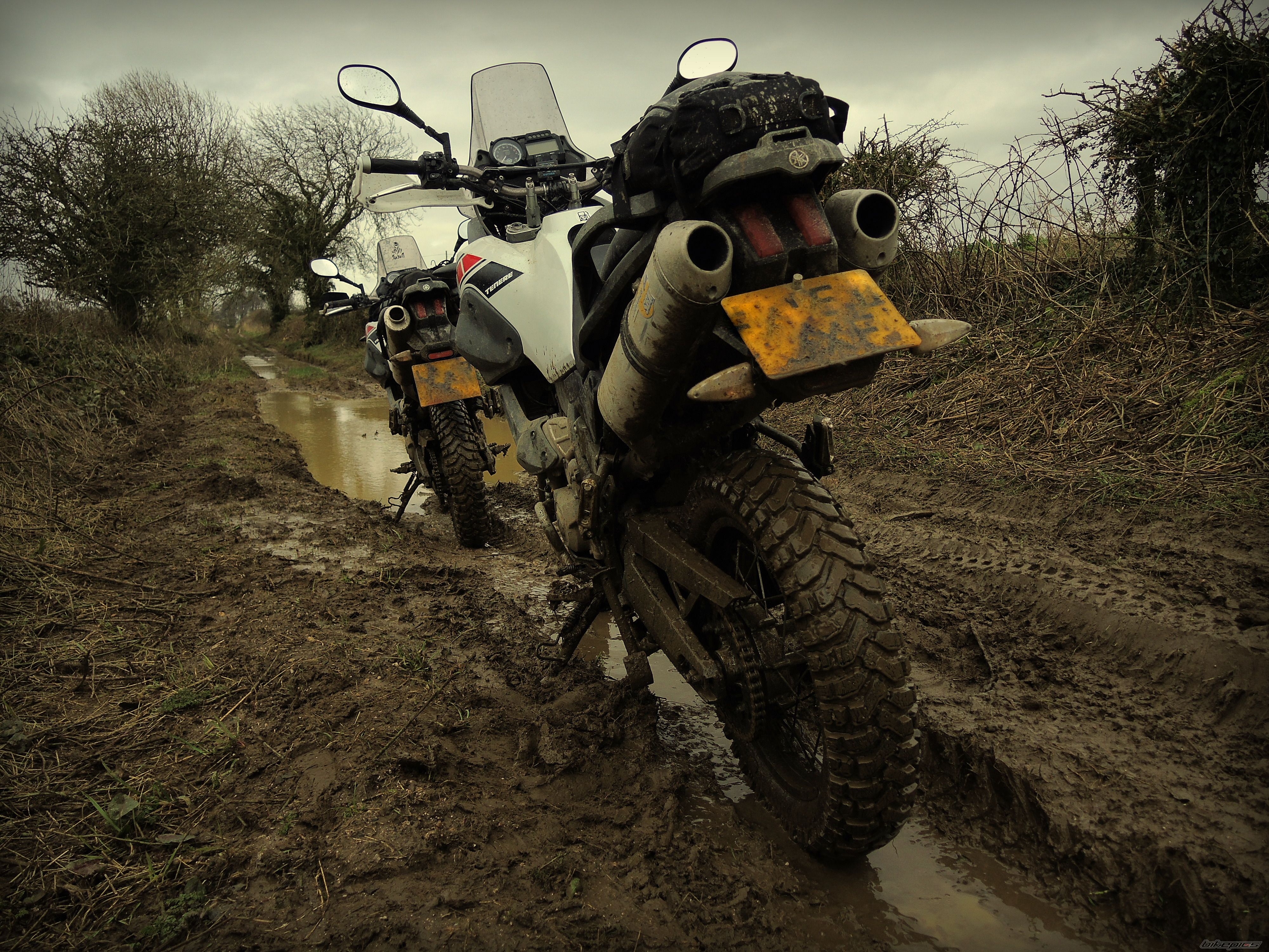 Photo 2645333