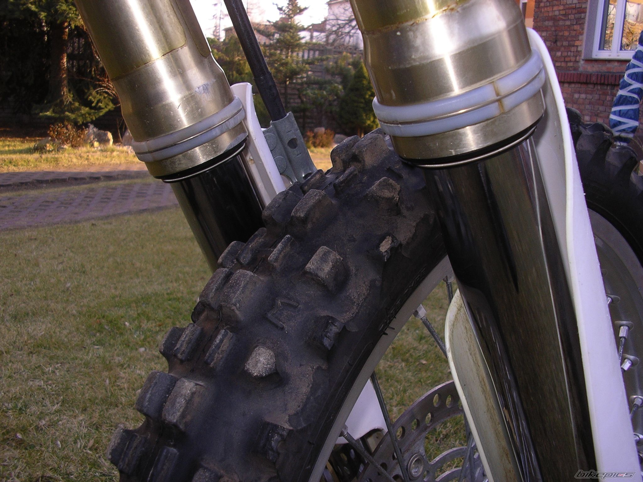 Photo 2645424