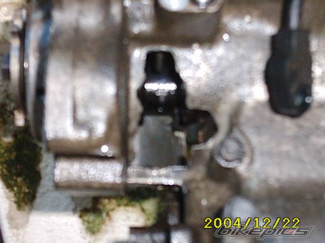 Photo 264548