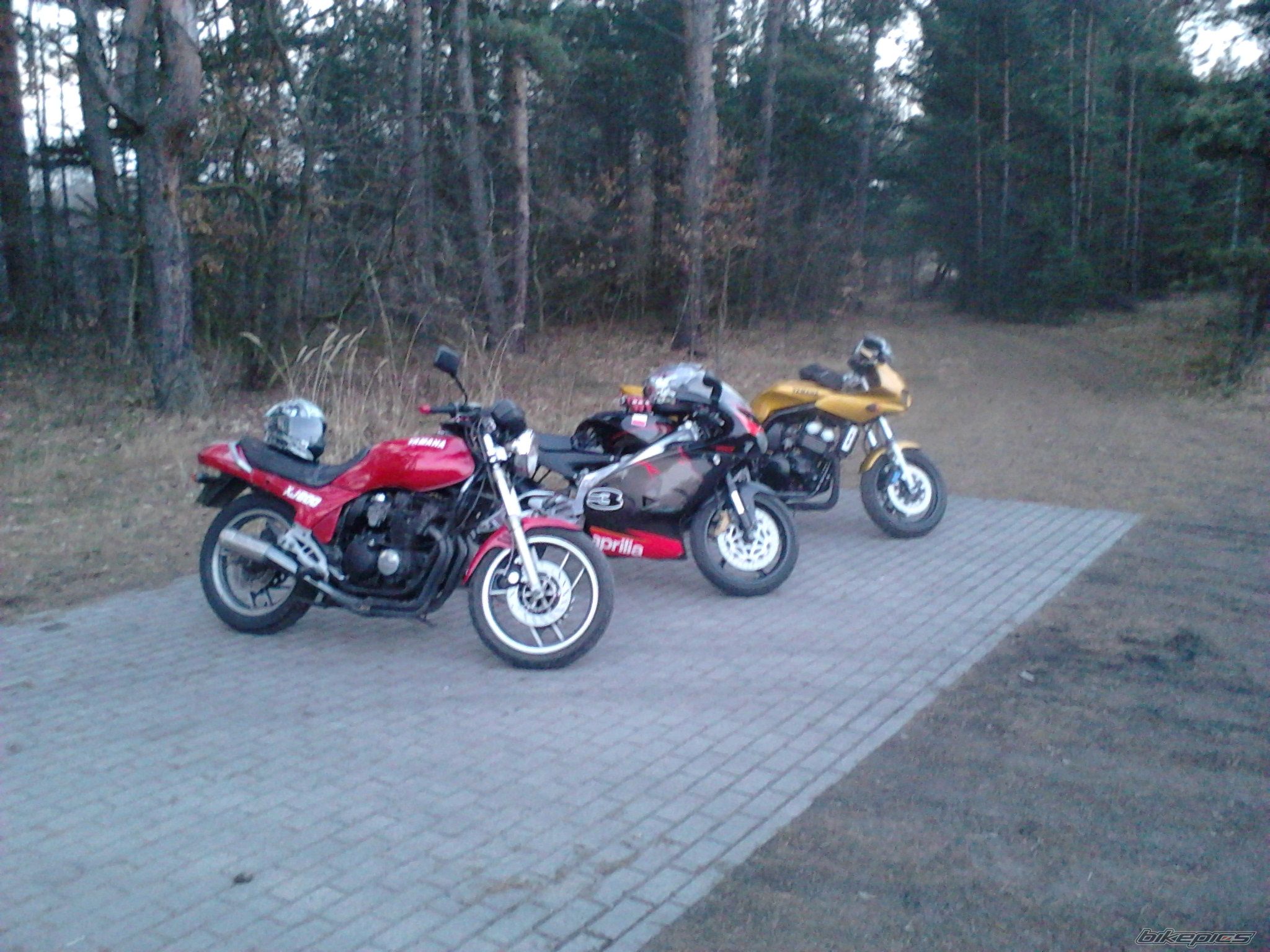 Photo 2645502