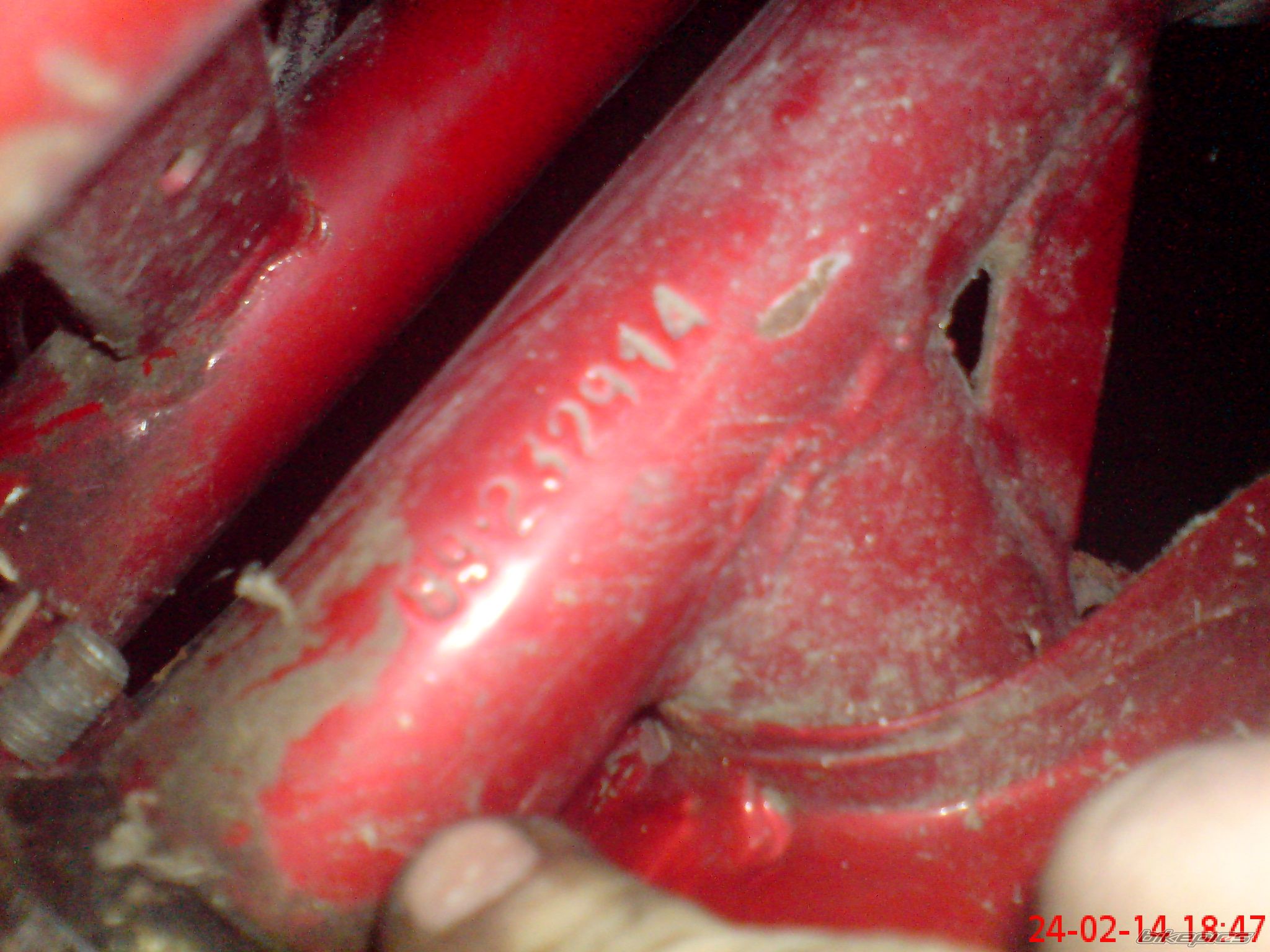 Photo 2645544