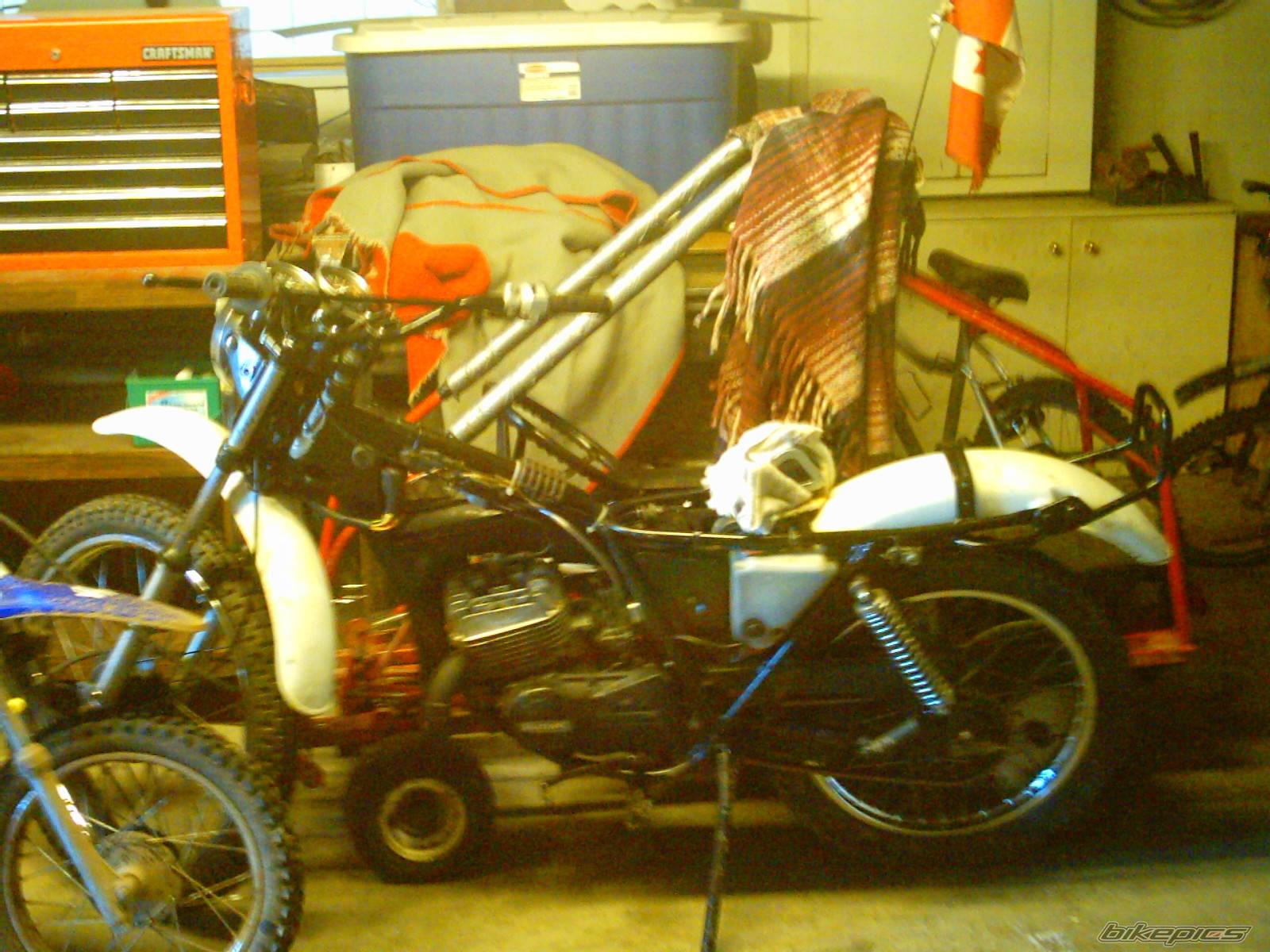Photo 264561