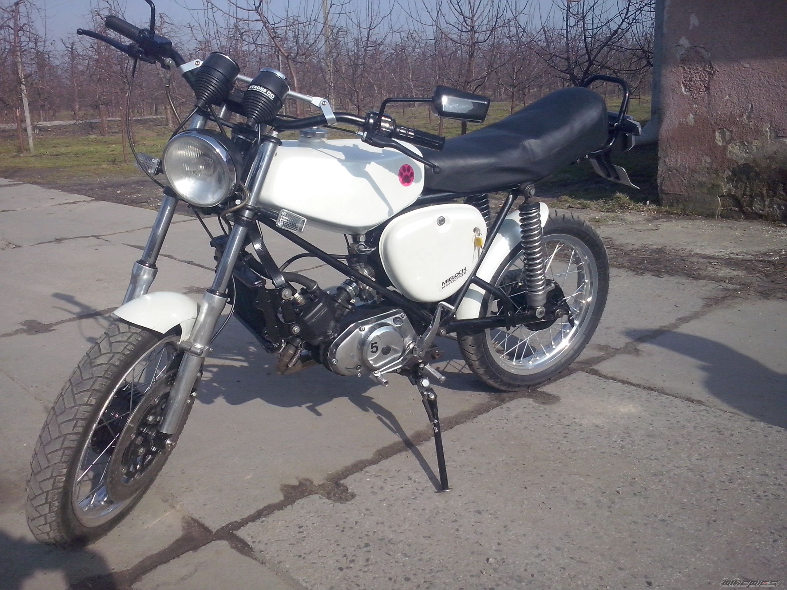 Photo 2645680