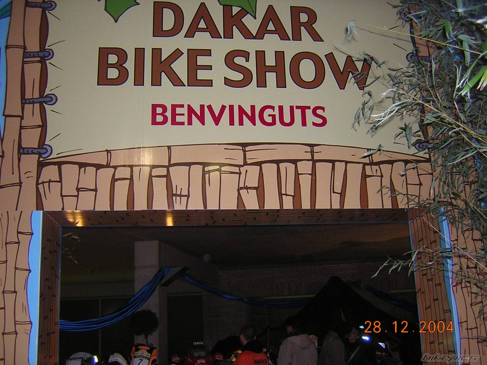 Photo 264573