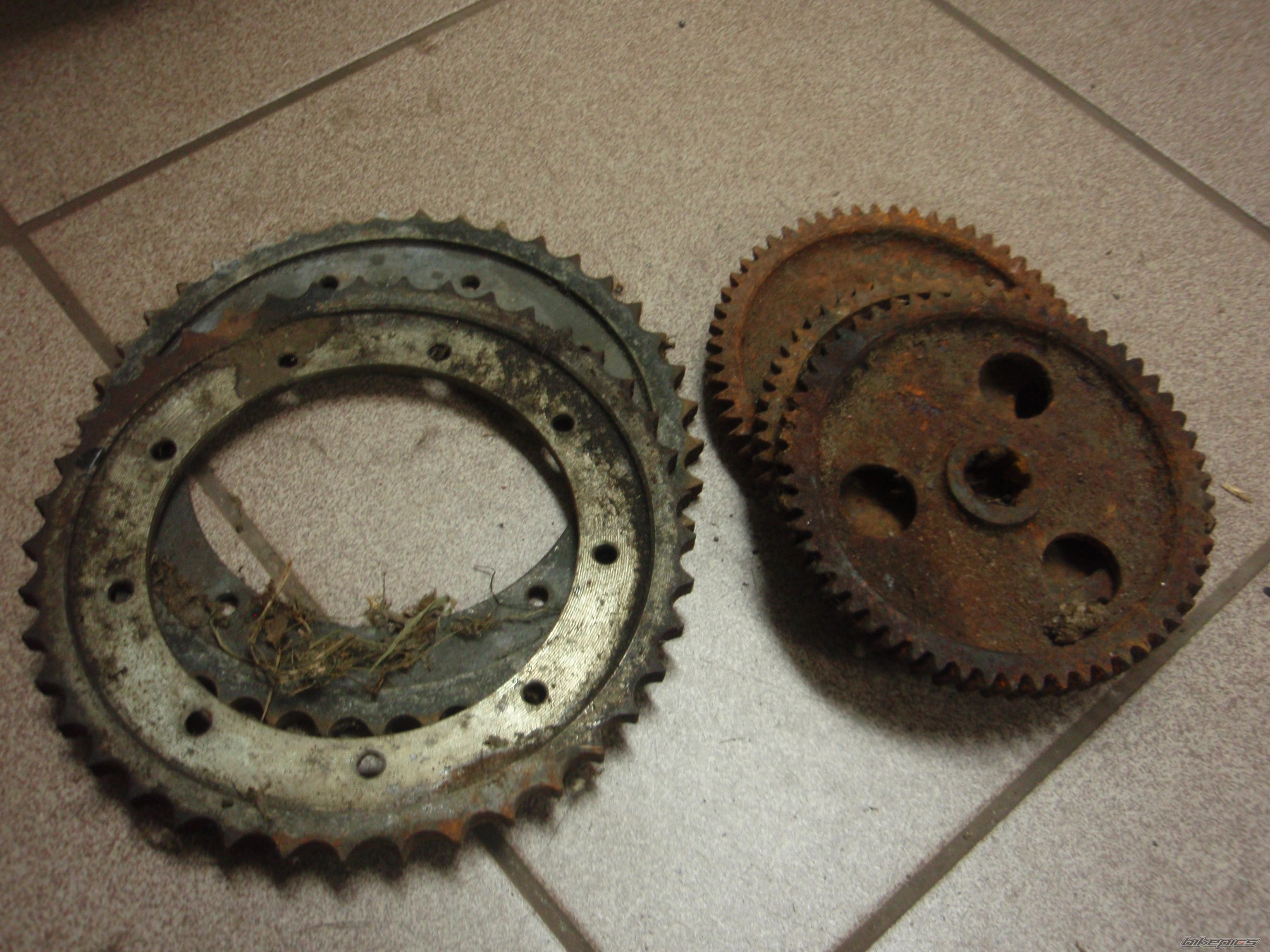 Photo 2645765
