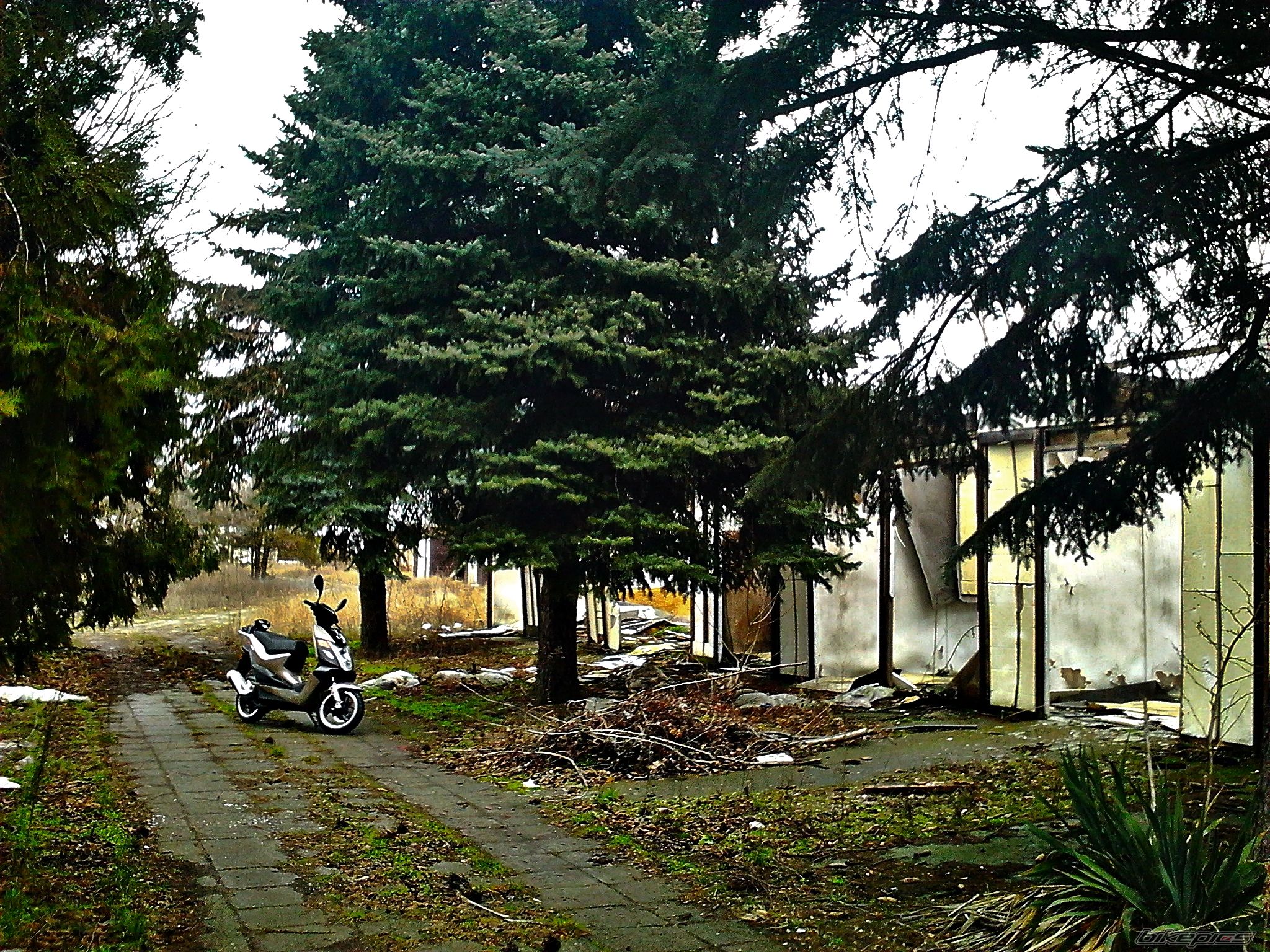 Photo 2645798