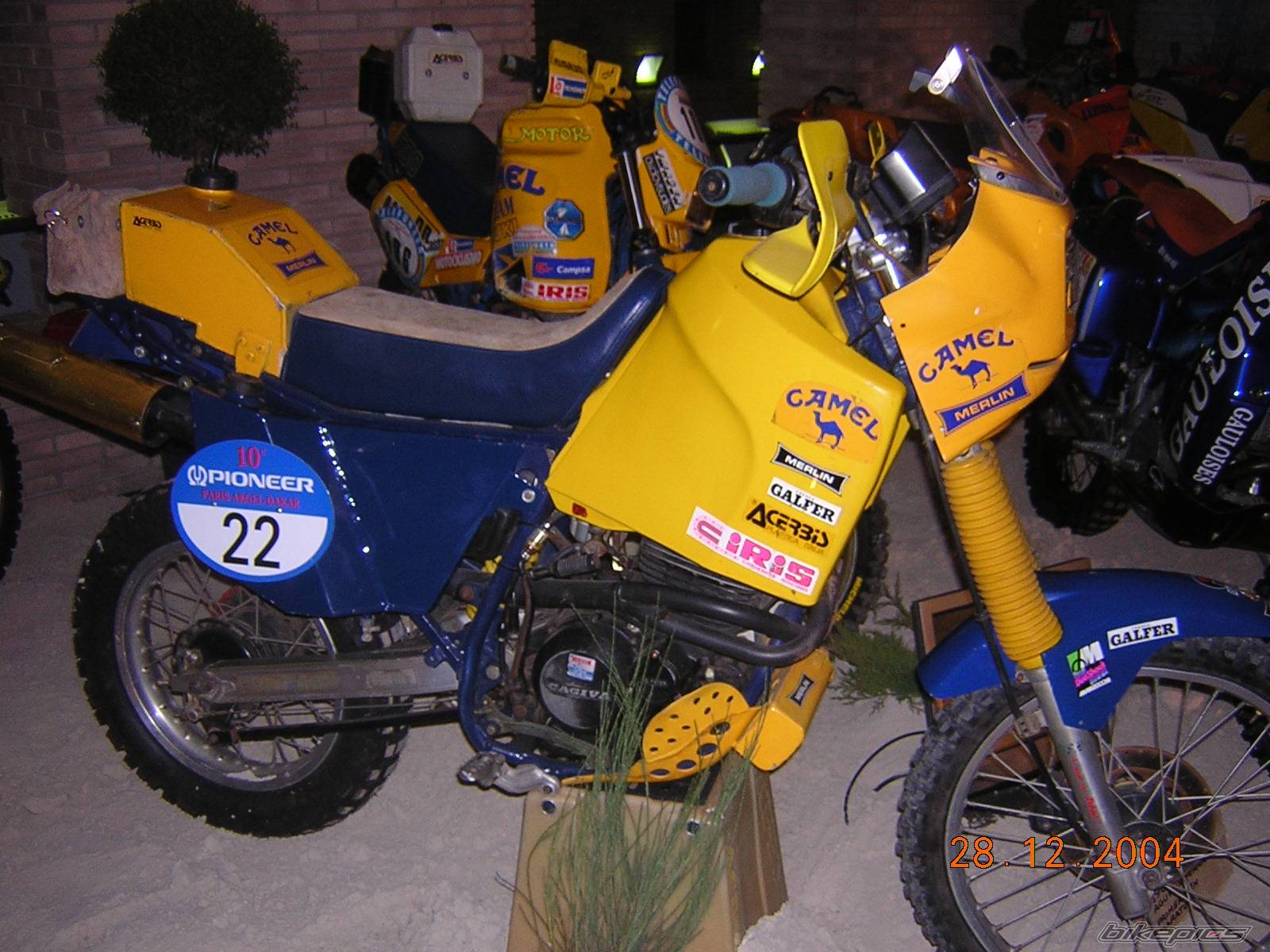 Photo 264582