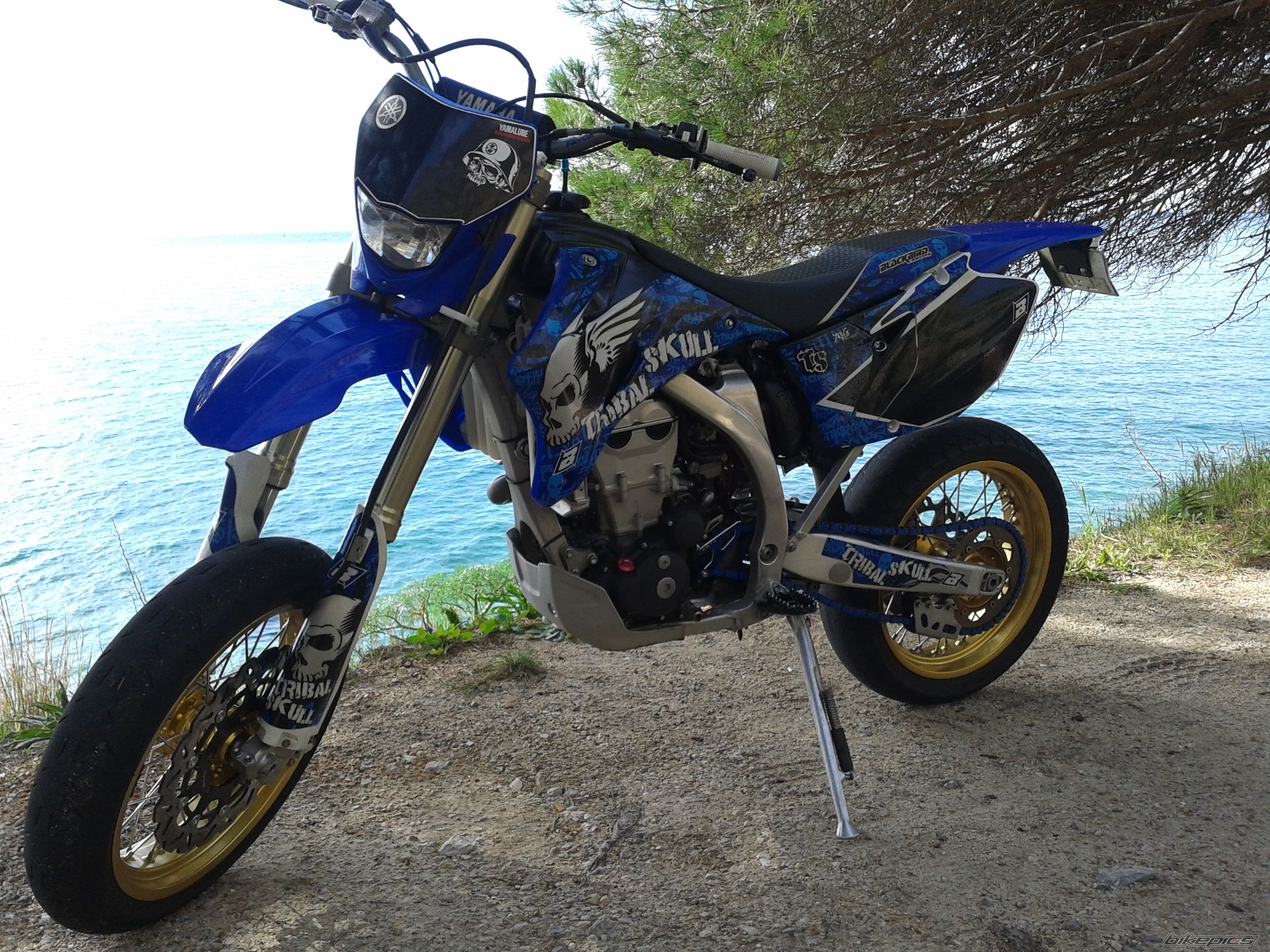 Photo 2645828