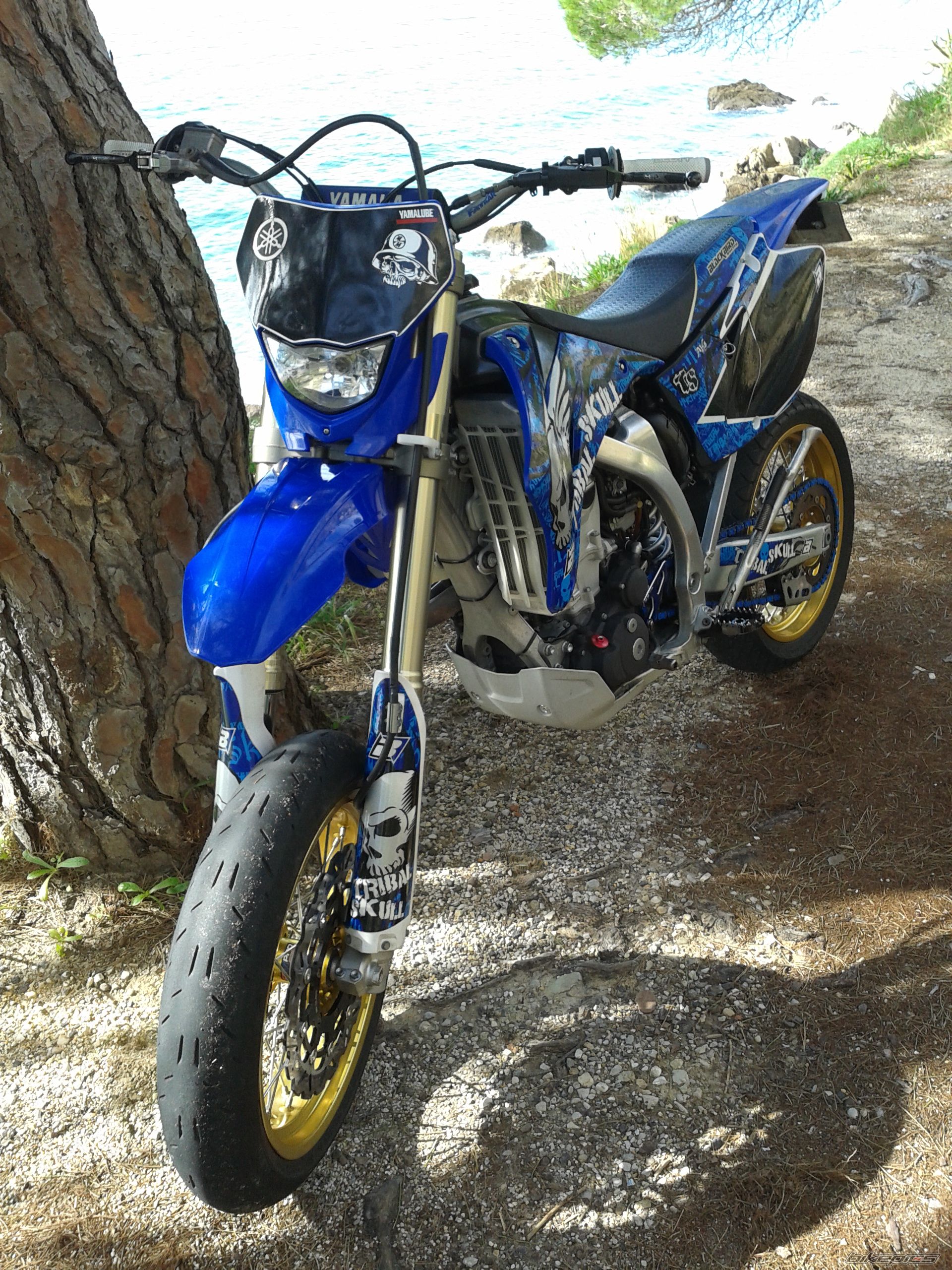 Photo 2645831