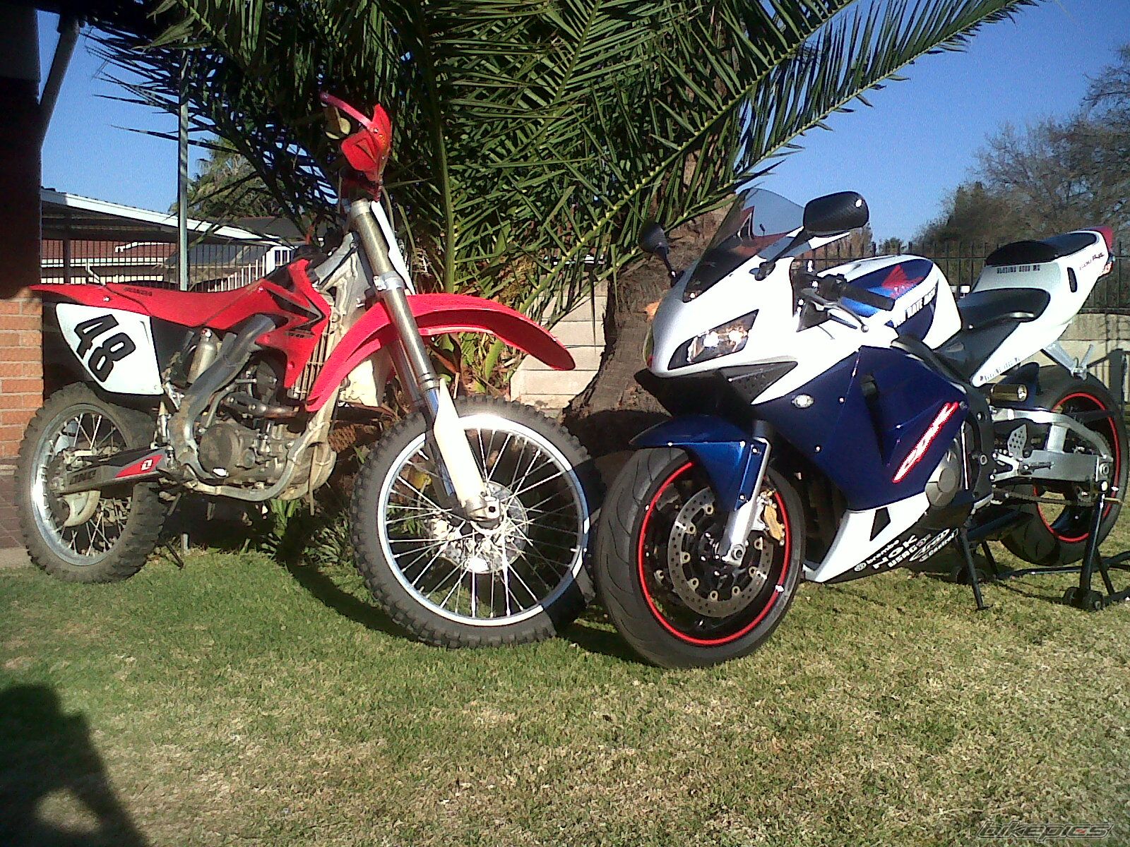 Photo 2645875