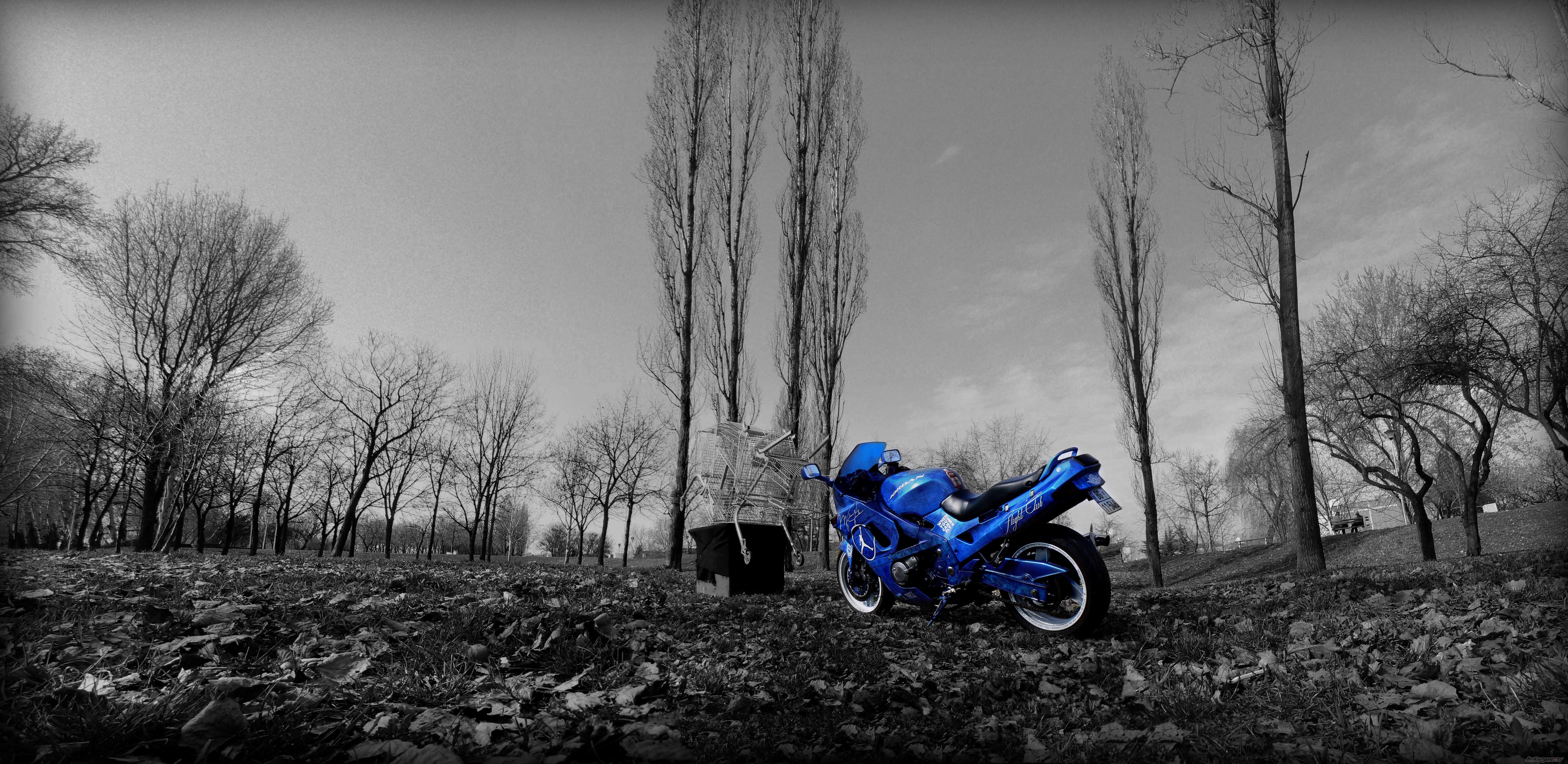 Photo 2645890